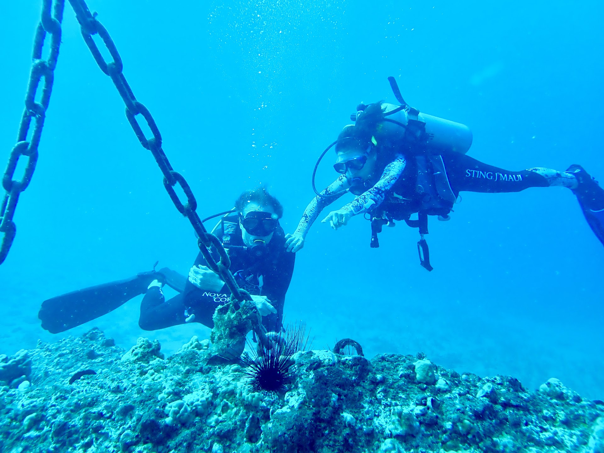 Island Style Diving