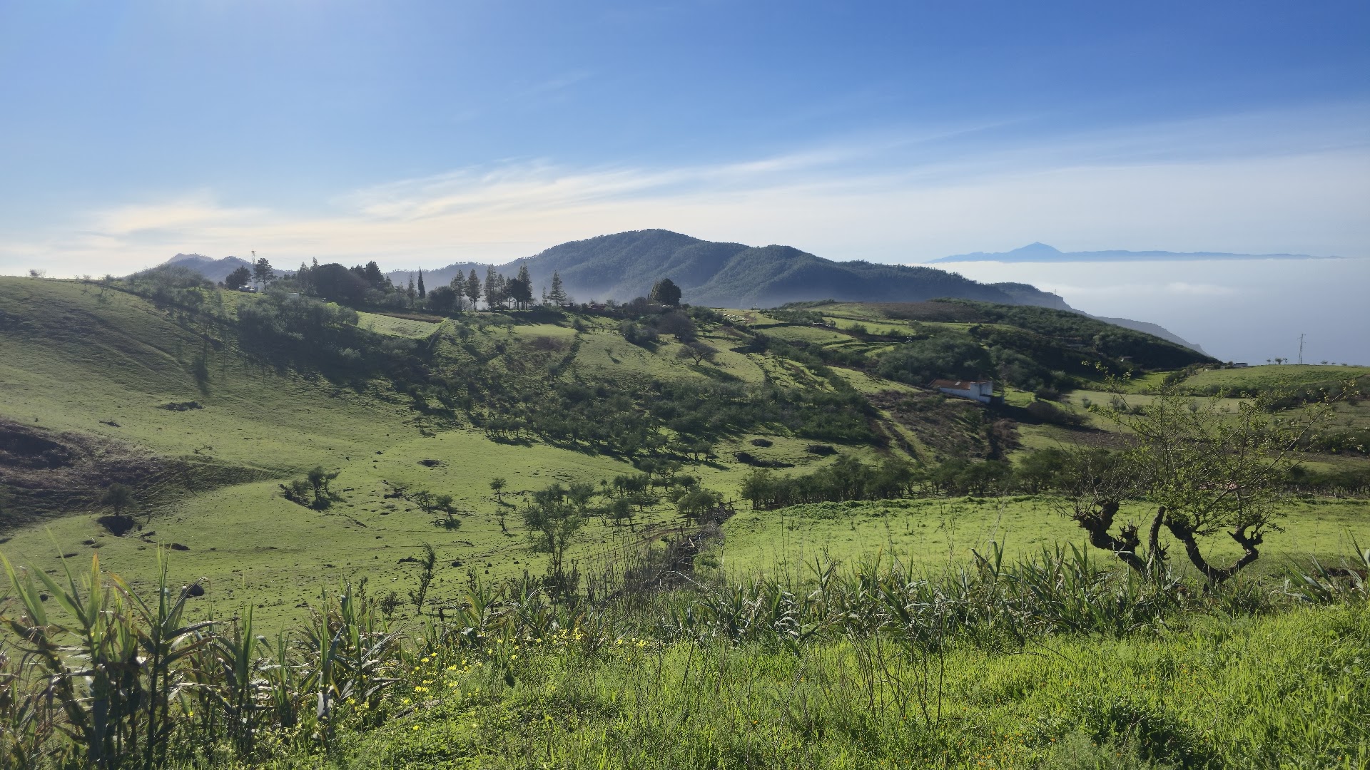 Área recreativa, Monte Pavón