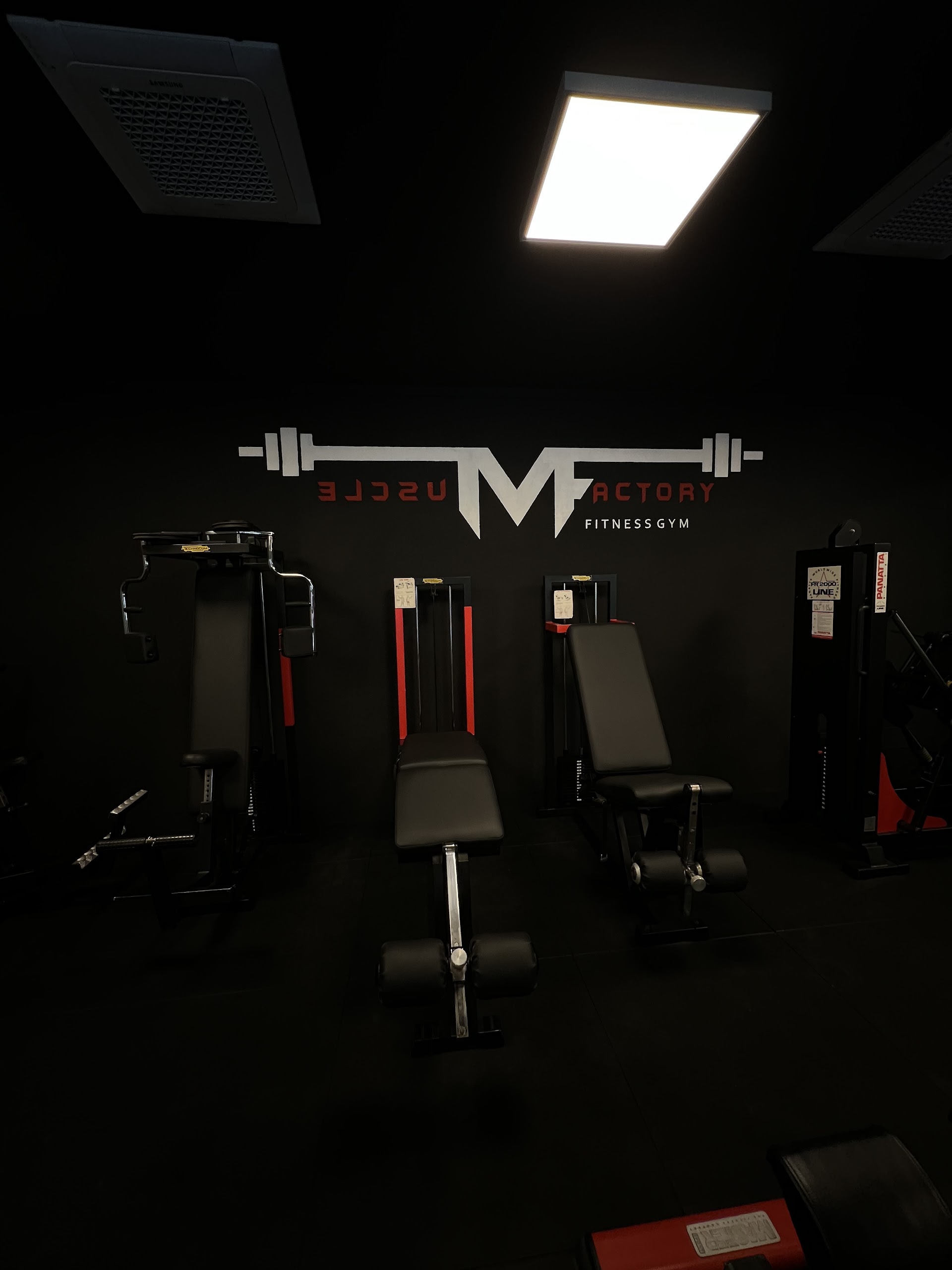 MUSCLE FACTORY GYM