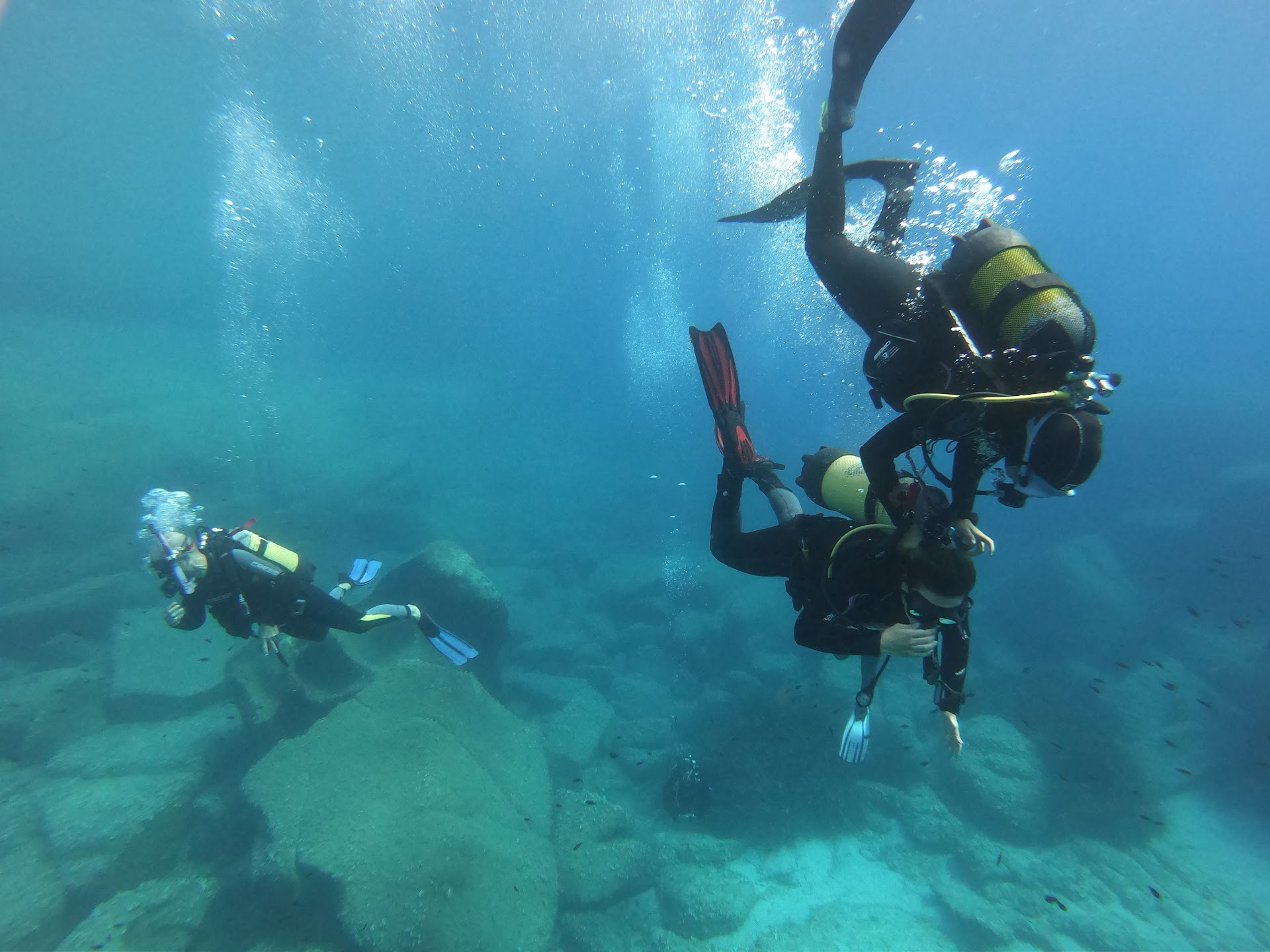 Diving Mediterraneo - Centro Formazione Istruttori Subacquei Wase Diveducation