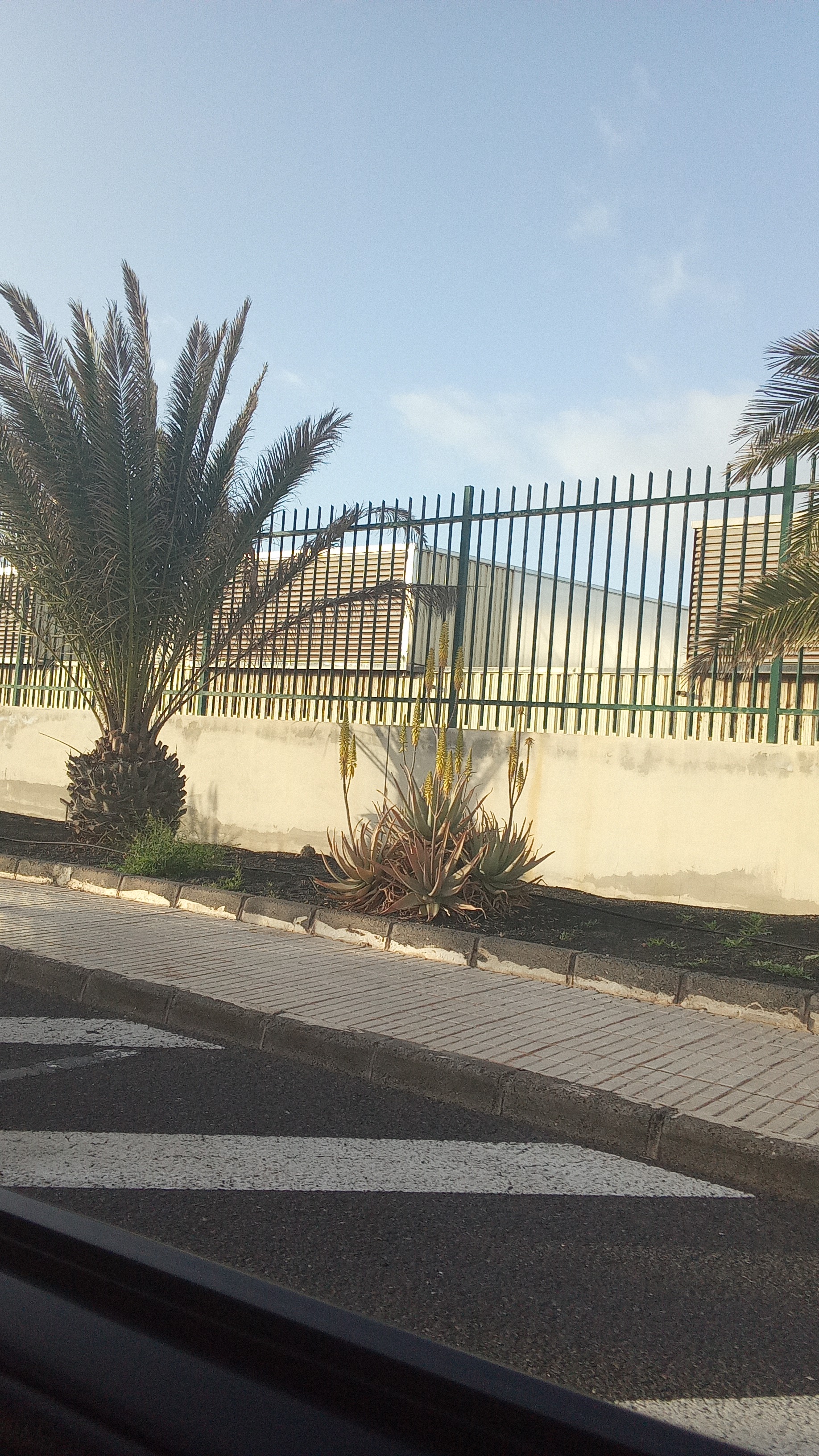 IES Costa Teguise