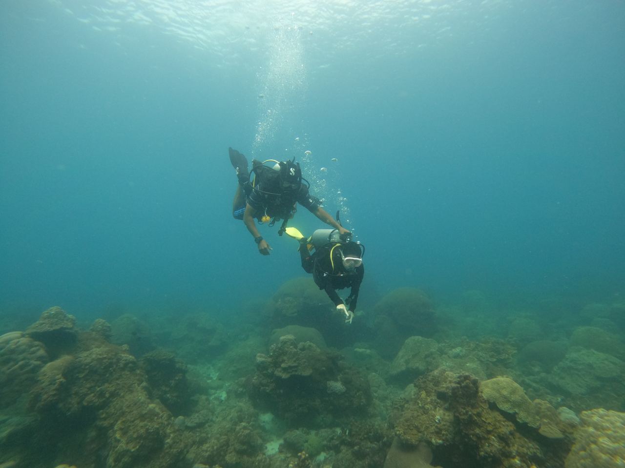 Ombak Divers