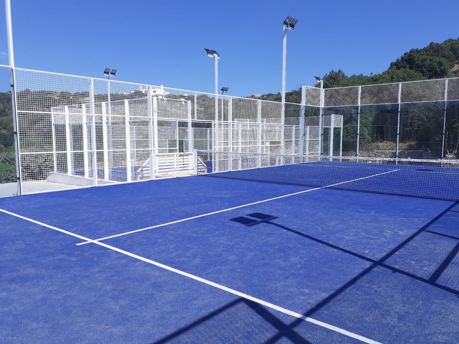Padel deer