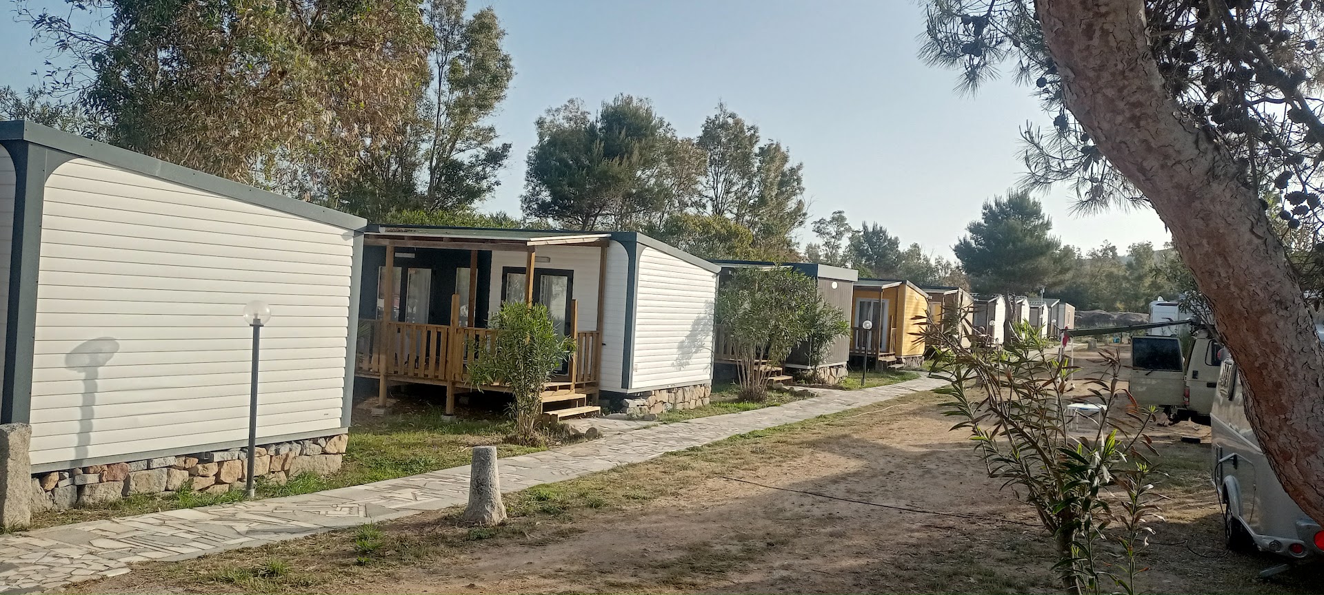 Camping Sos Flores