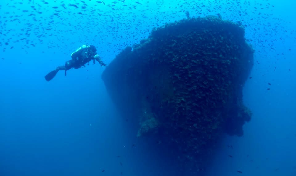 PADI Instr. - DIVING FREE DIVERS ERICE TRAPANI