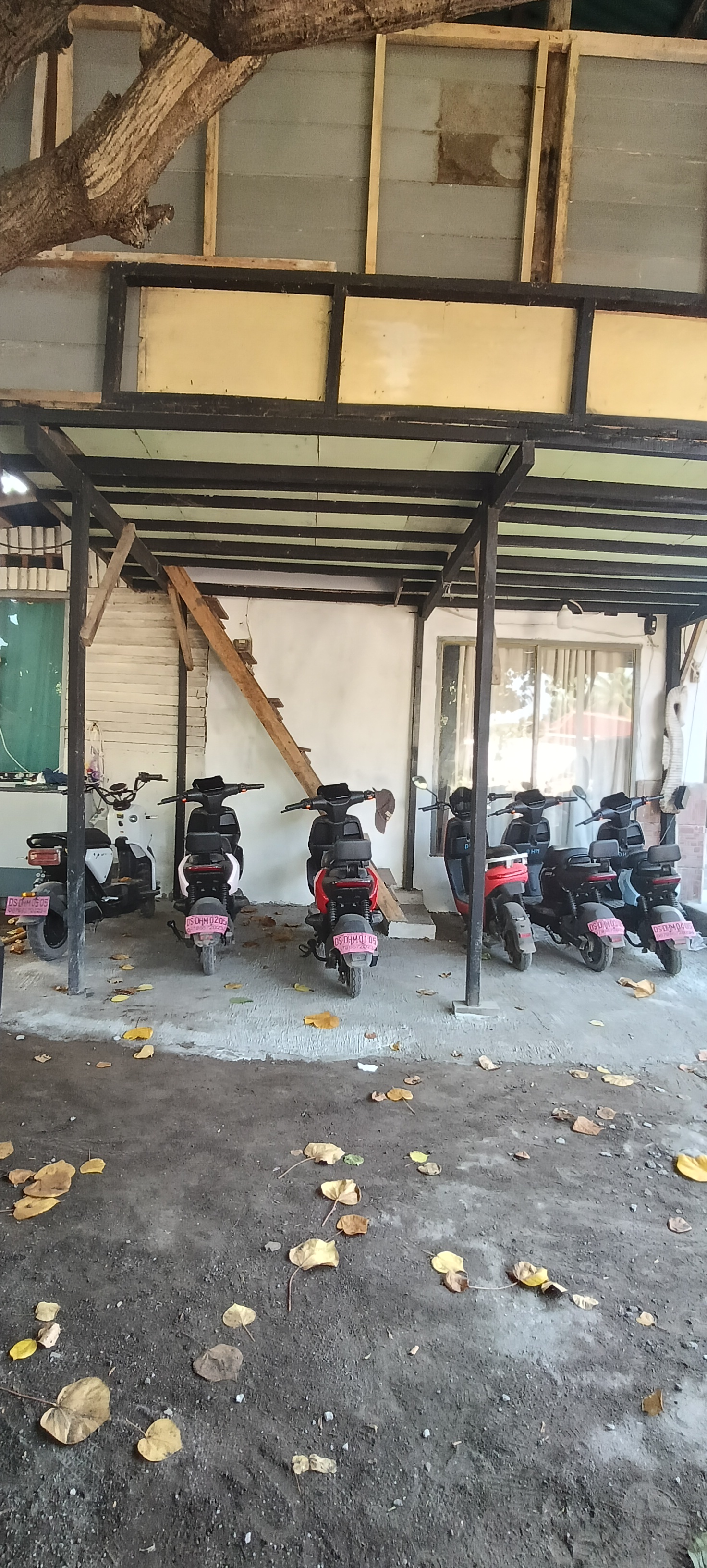 Jinggo E bike rental and delivery