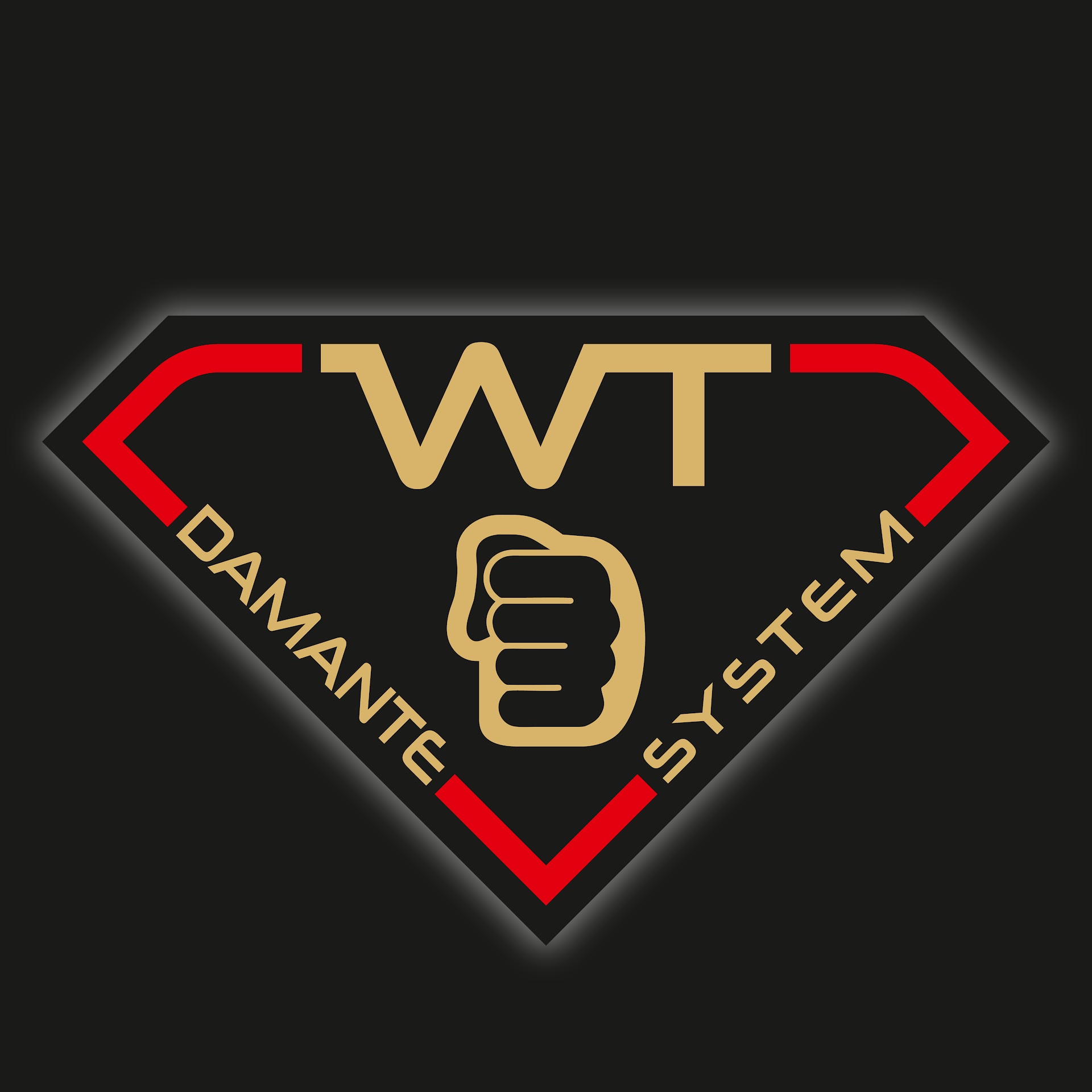 WTDS Wing Tsun Damante System Ragusa Centro
