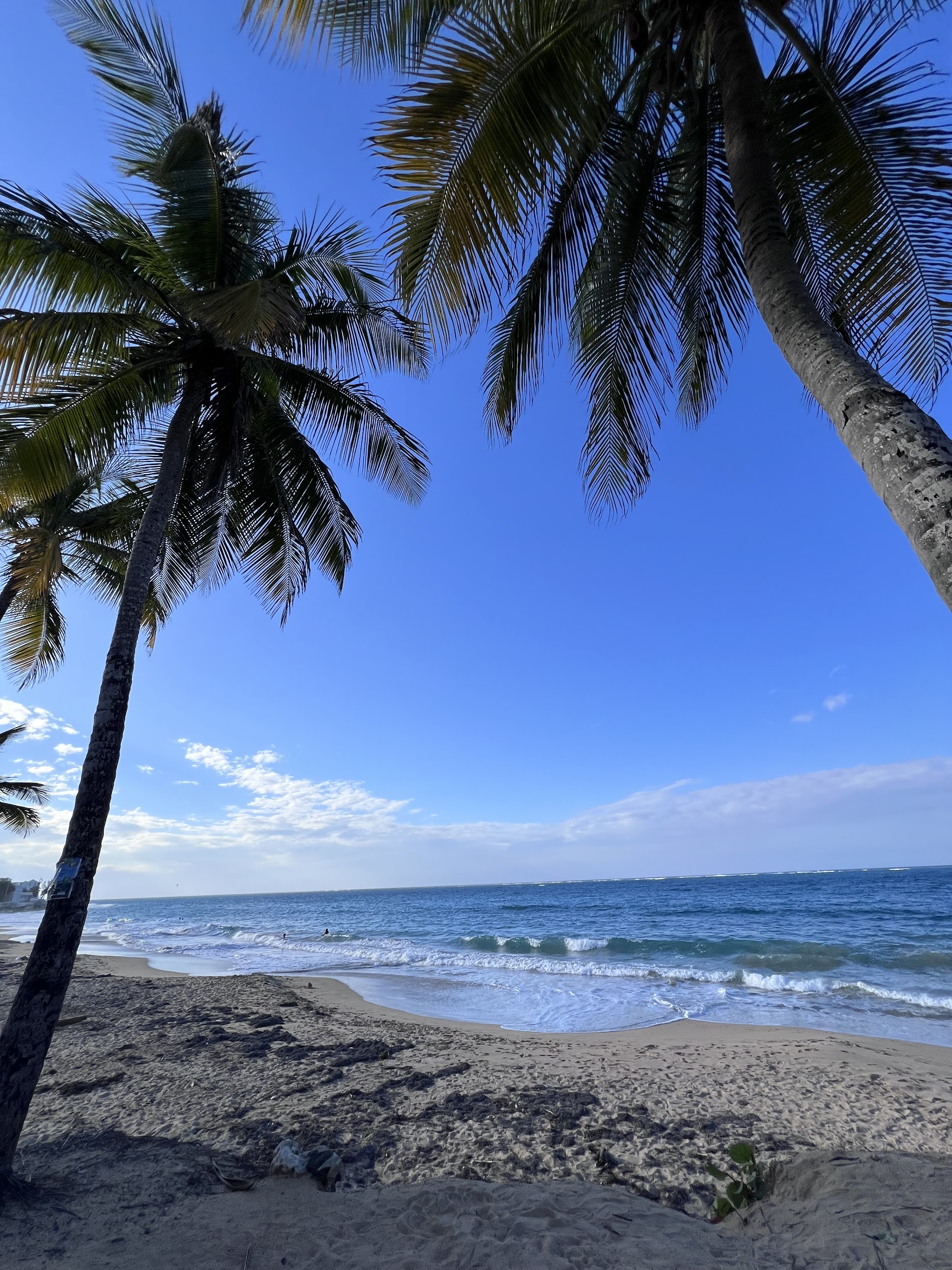 Salsa Tours PR LLC.