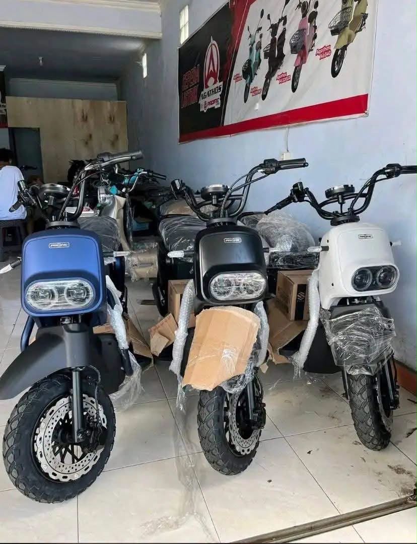 Baku Dapa Rent E-Bike & Bike Gili Trawangan