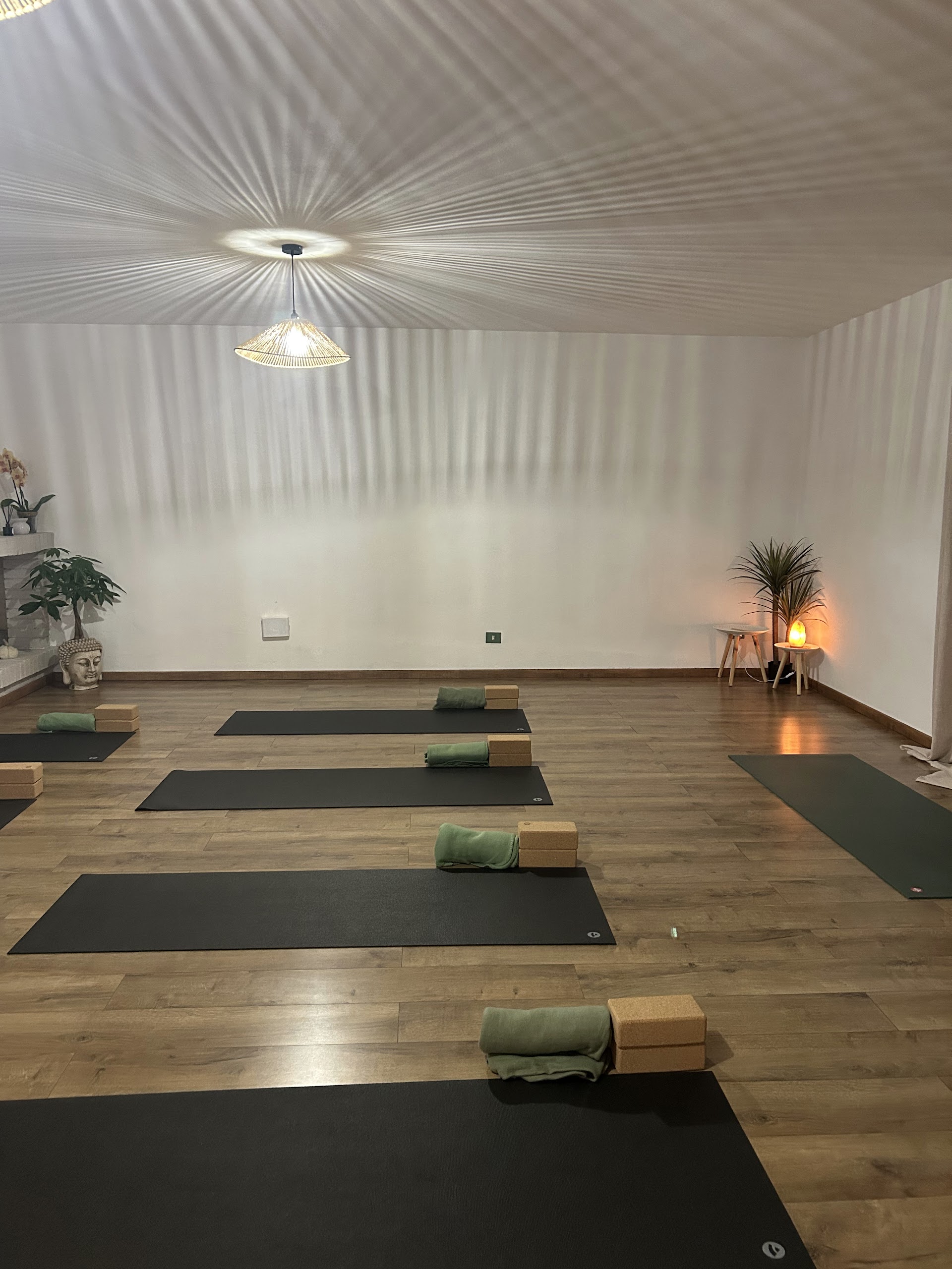 Shardana Yoga Studio