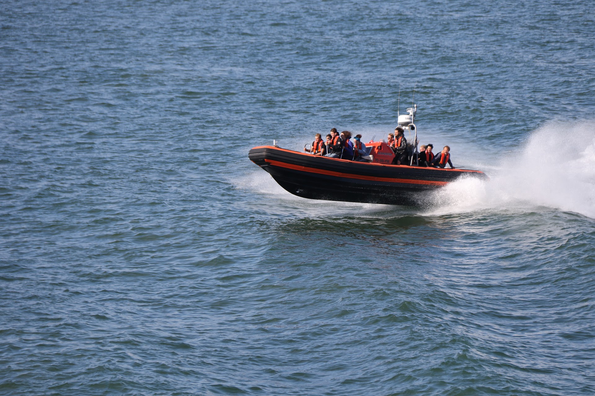 Zeehondentochten met Wad experience Terschelling