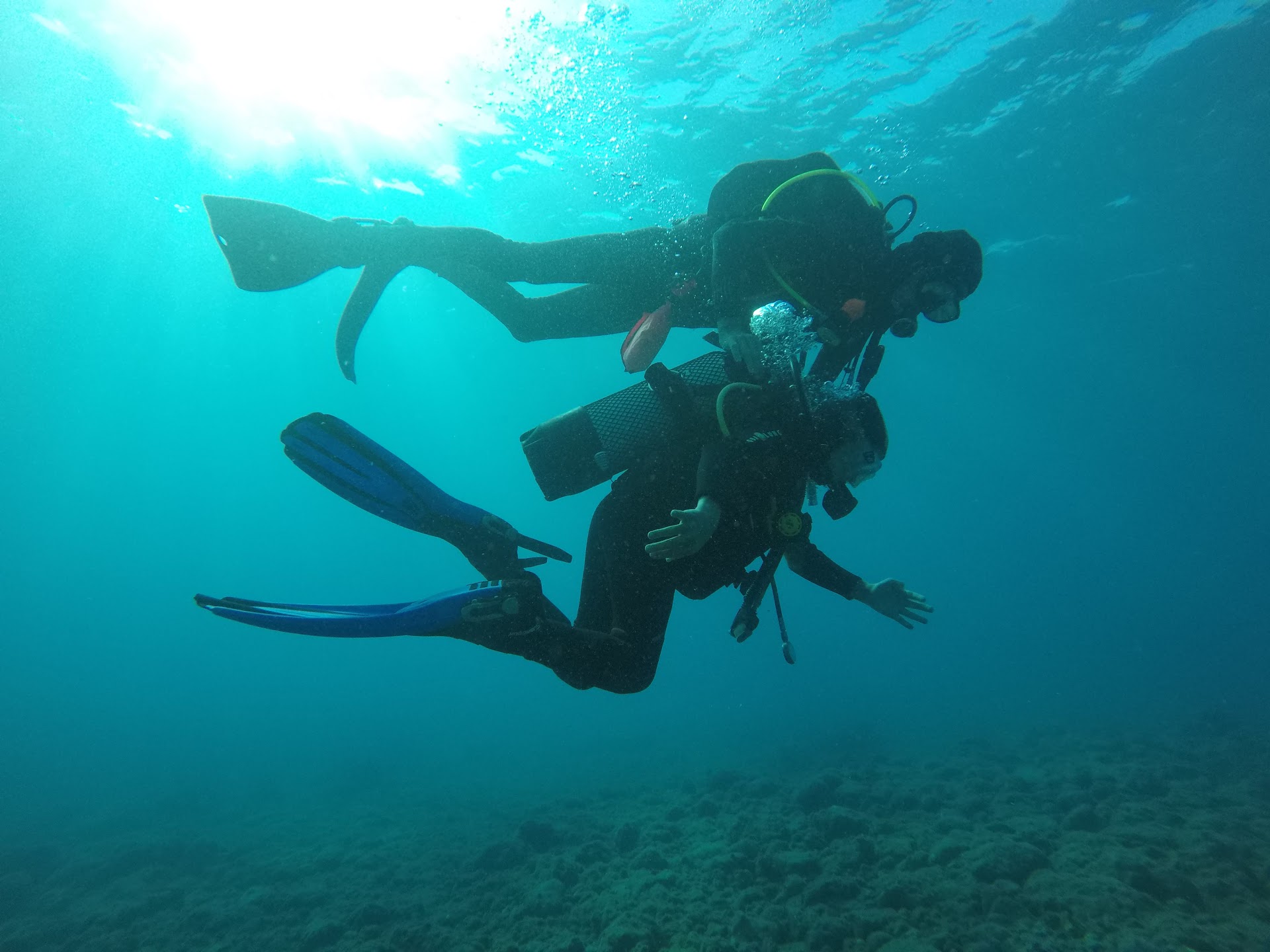 Diveria club de buceo