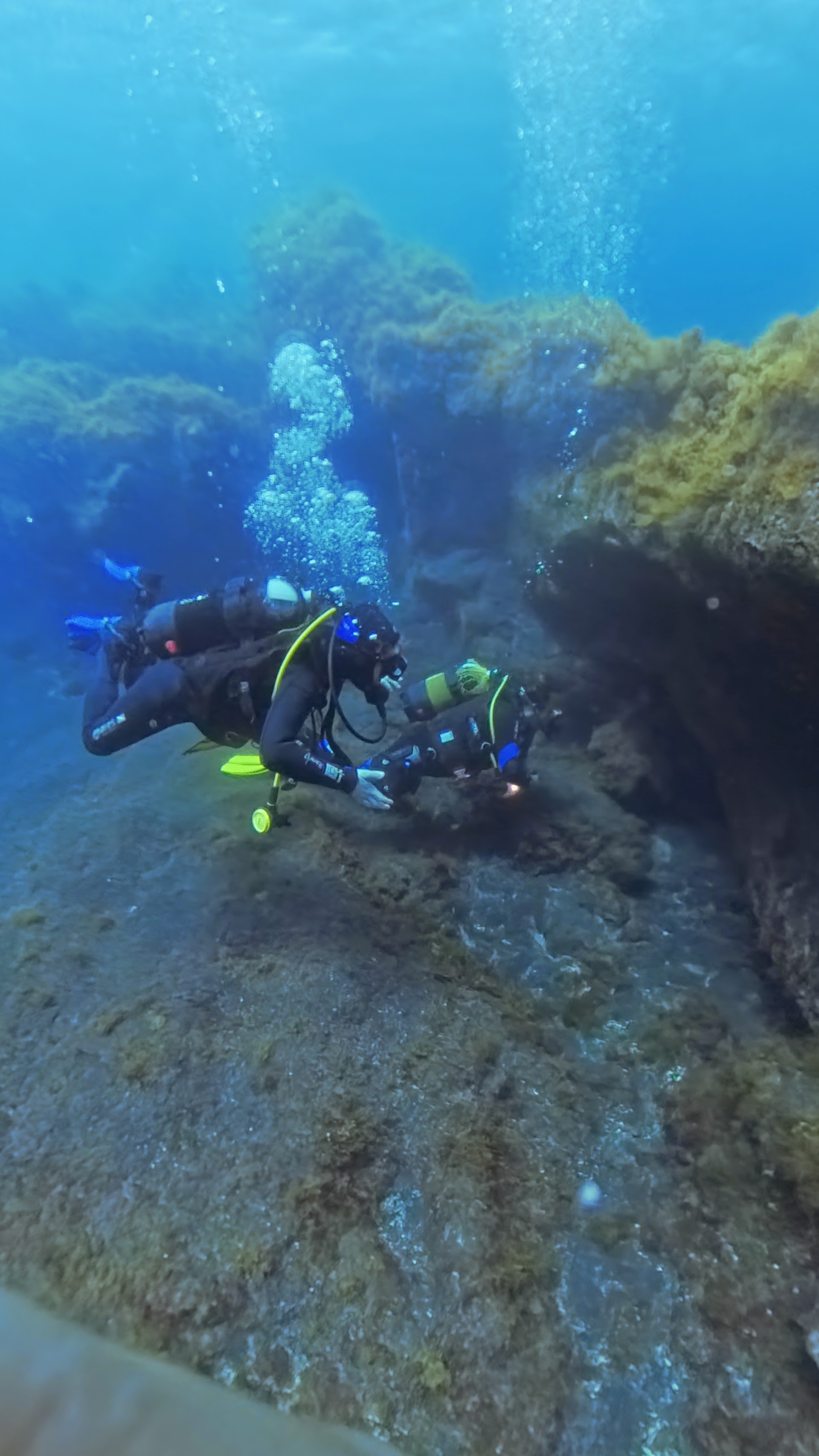 Punkfish Diving La Palma