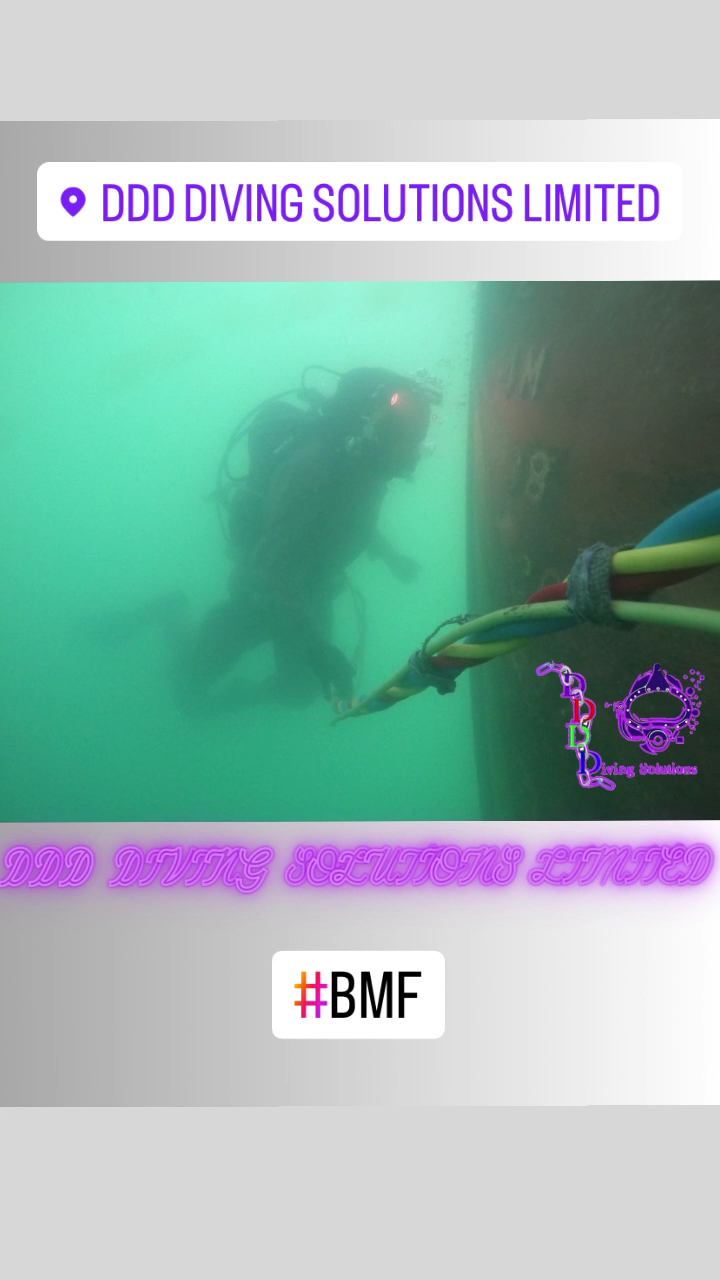 Yardie Divers