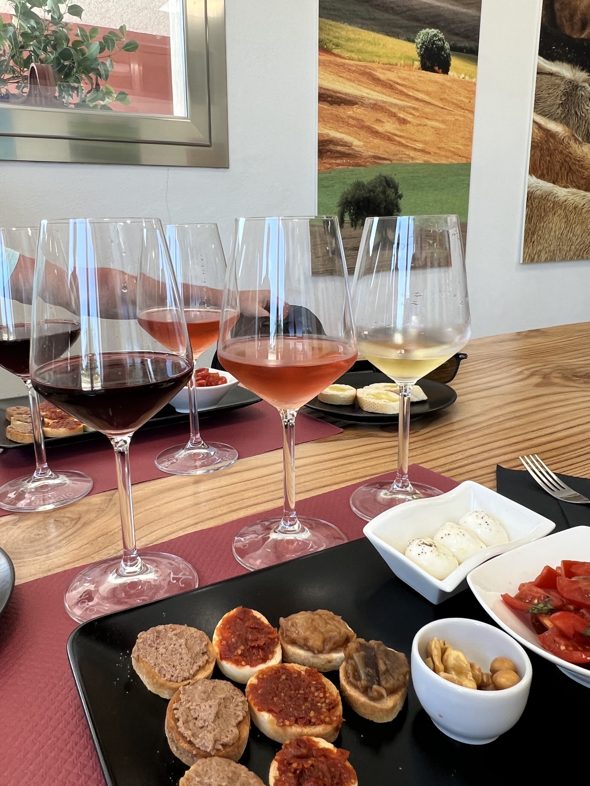 Terre di Noto - Vigneti e Cantine