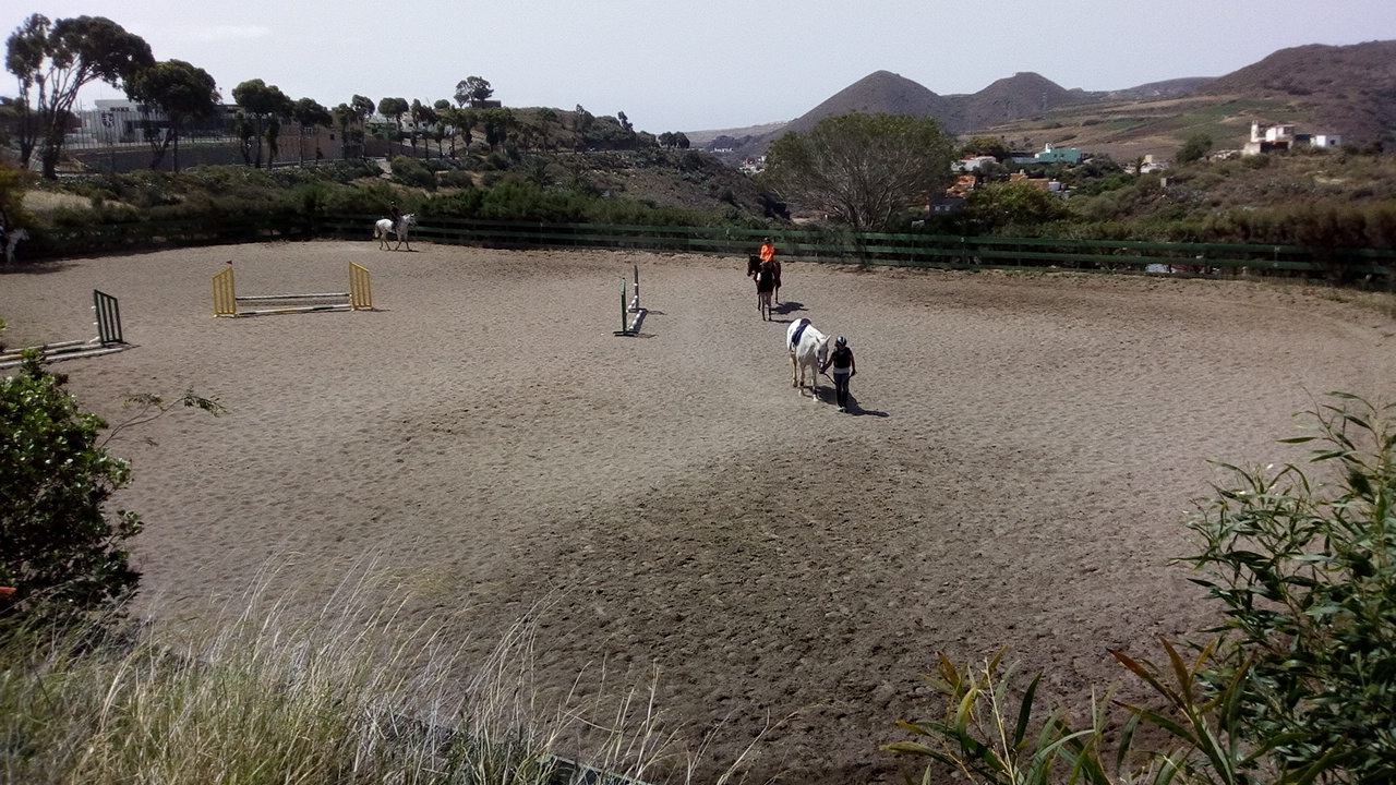 Zona Horses