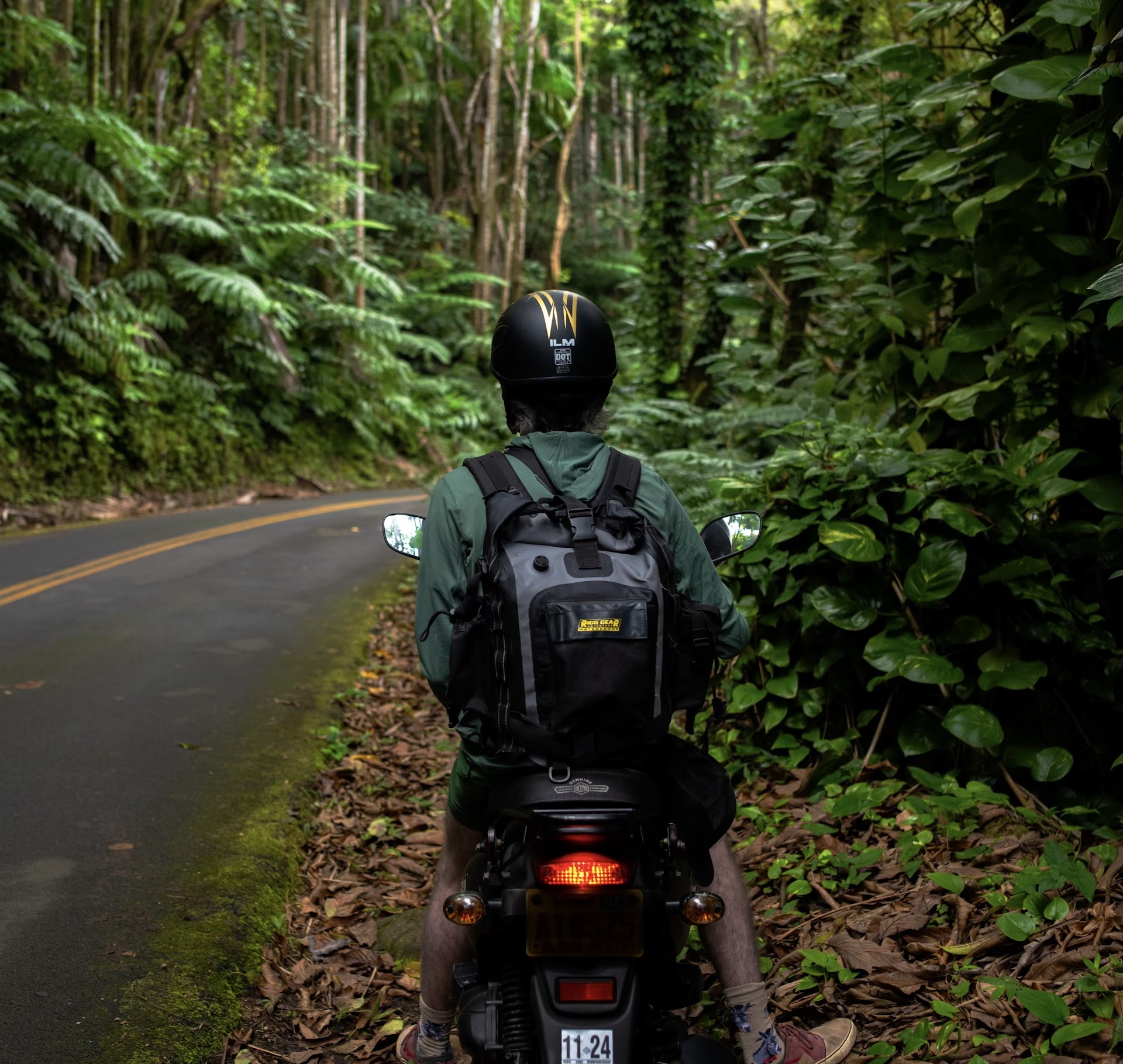 Hawaiian Island Cruisers