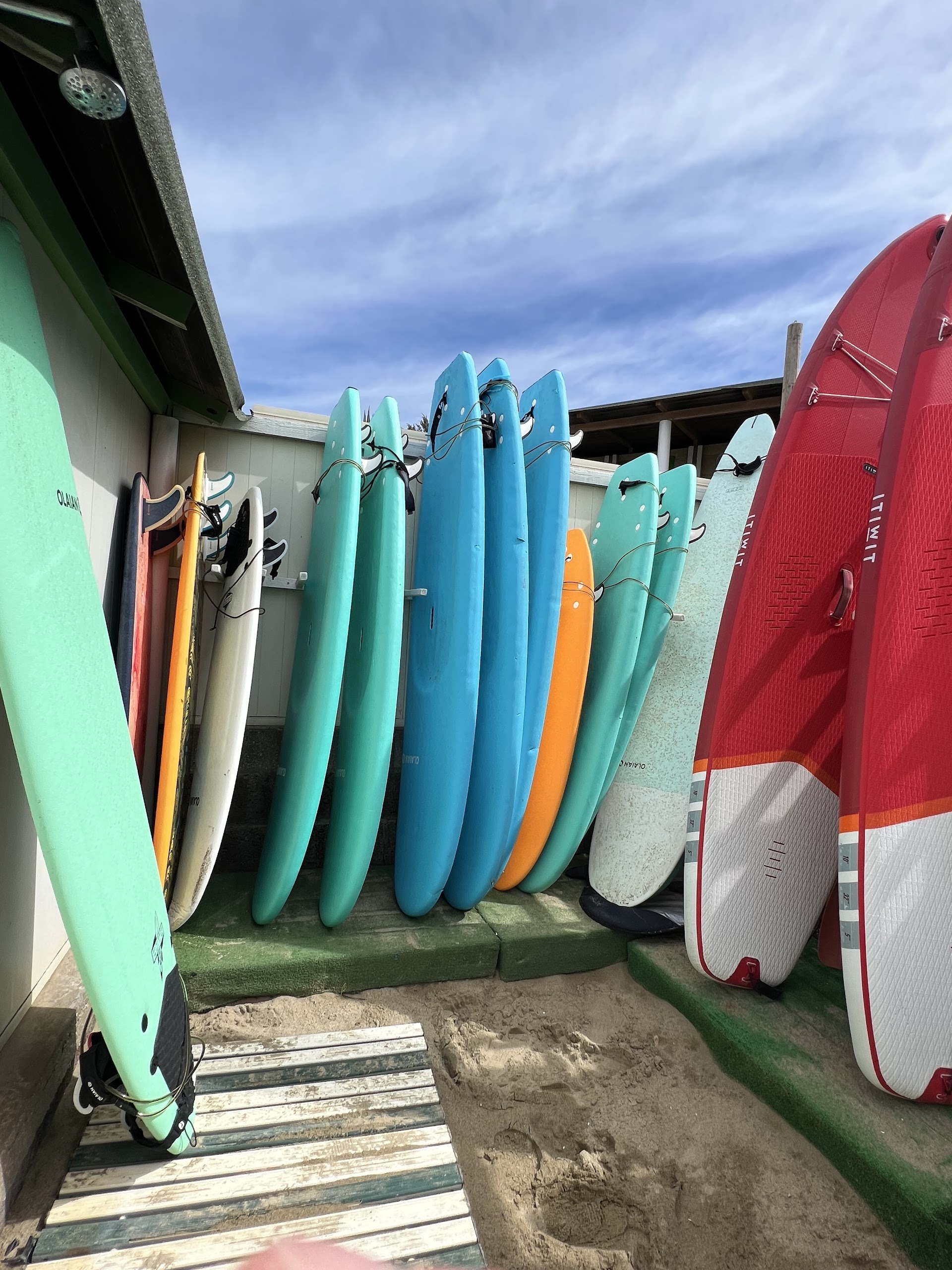 SURF TRIP school | camp