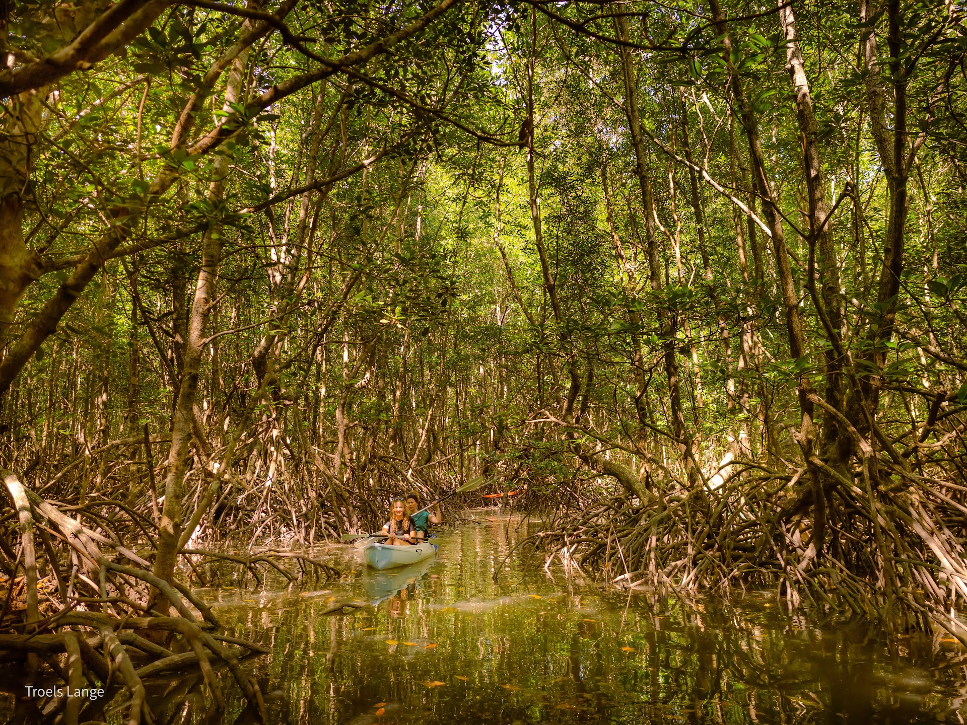 Hiking Tours in Pasai Beach