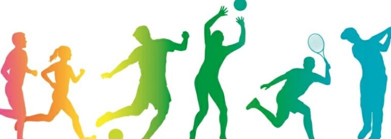 Lenaf Gestión De Servicios Deportivos S.L.
