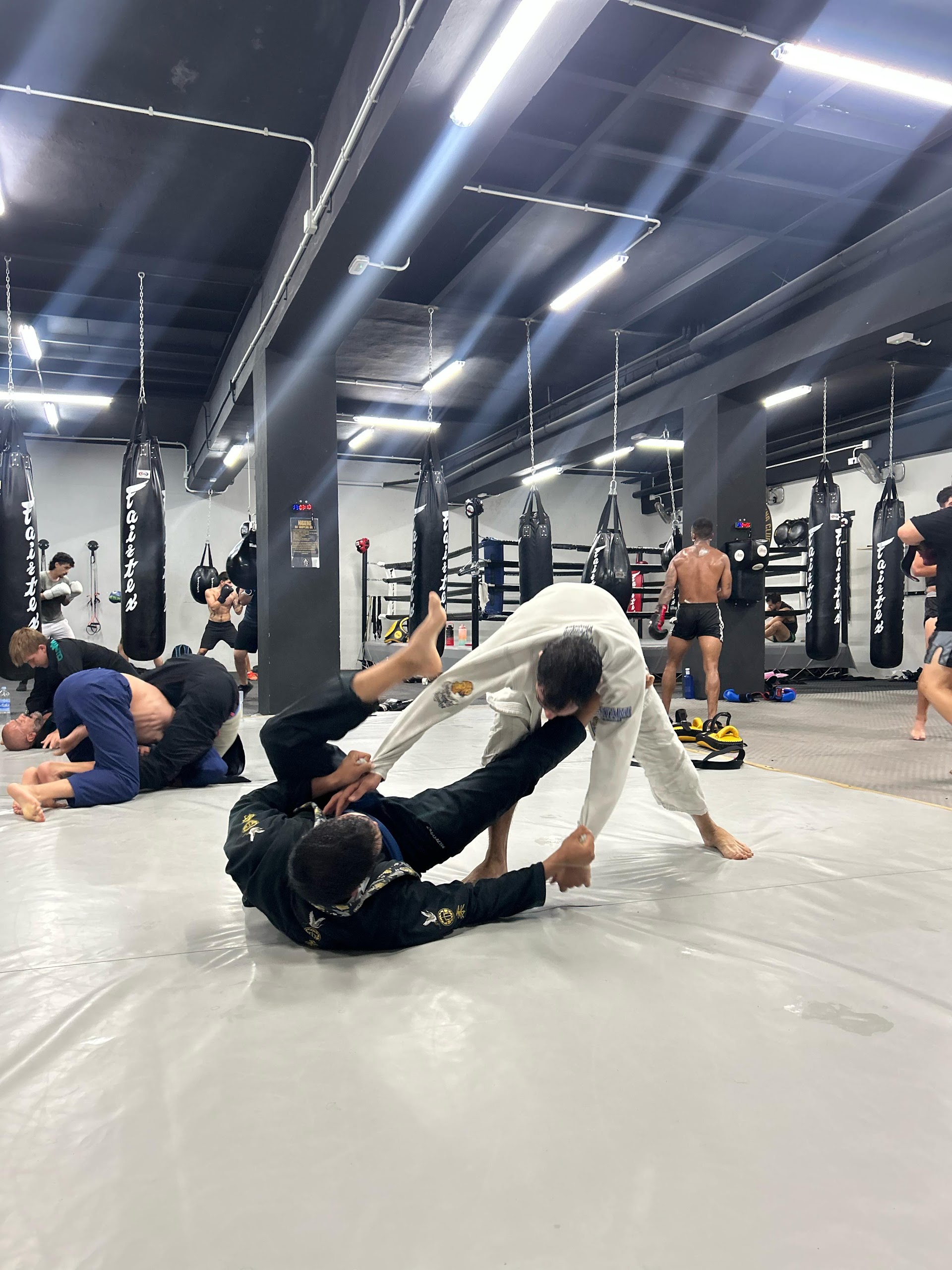 Island Warriors Training Club