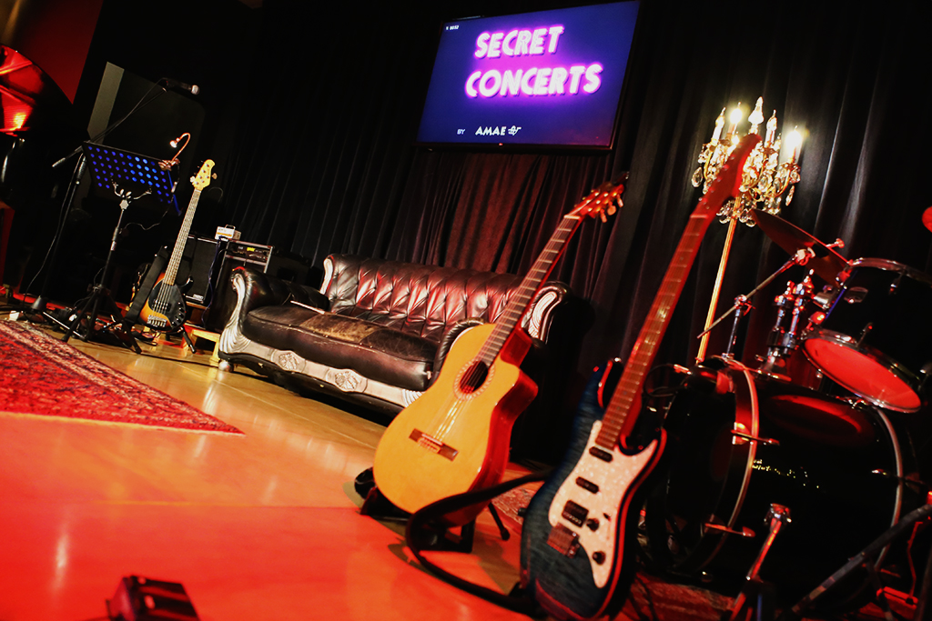 AMAE Academia de Músicos y Artistas en Escena