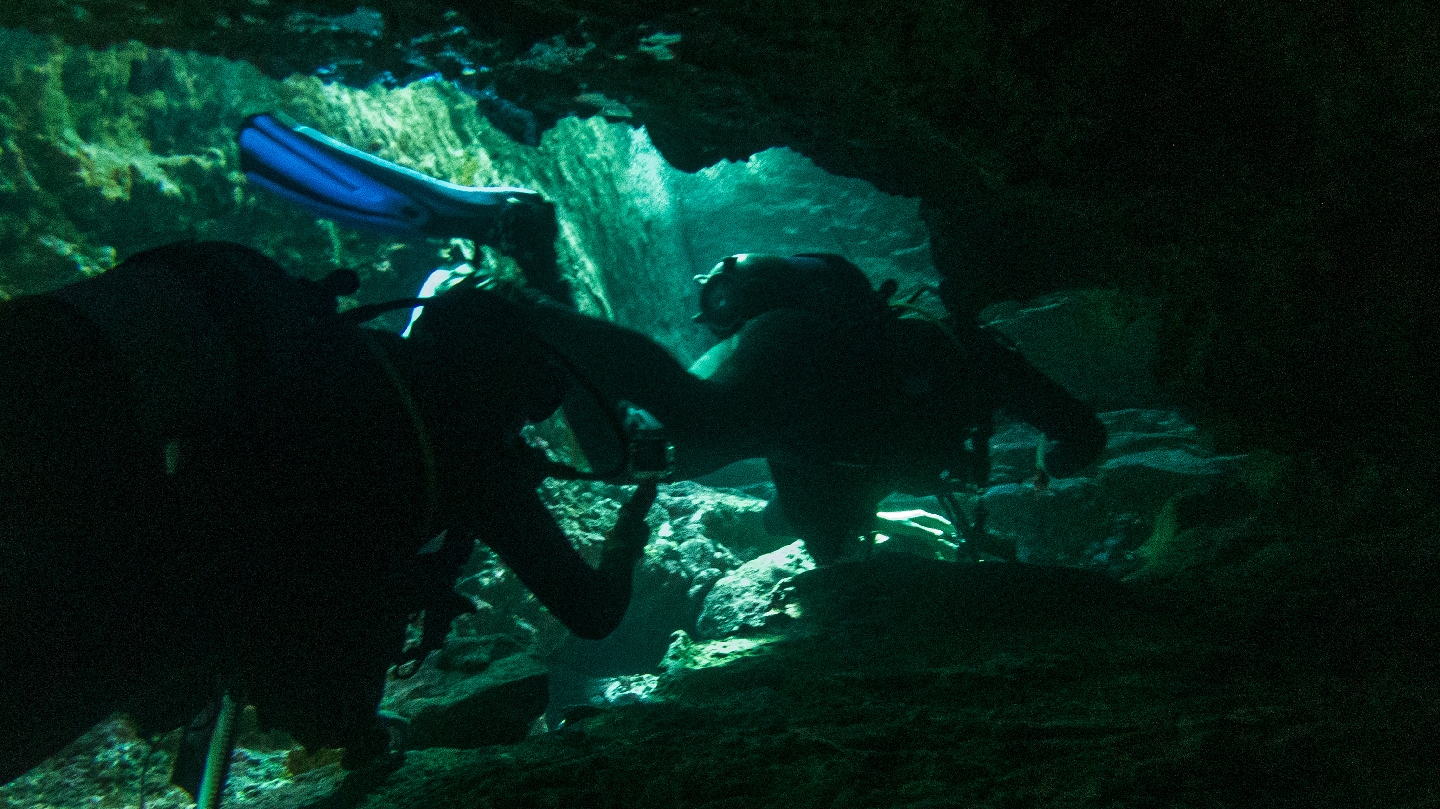 GooDiving | Try Dive Tenerife for Beginners | Small Groups Scuba Diving Experience