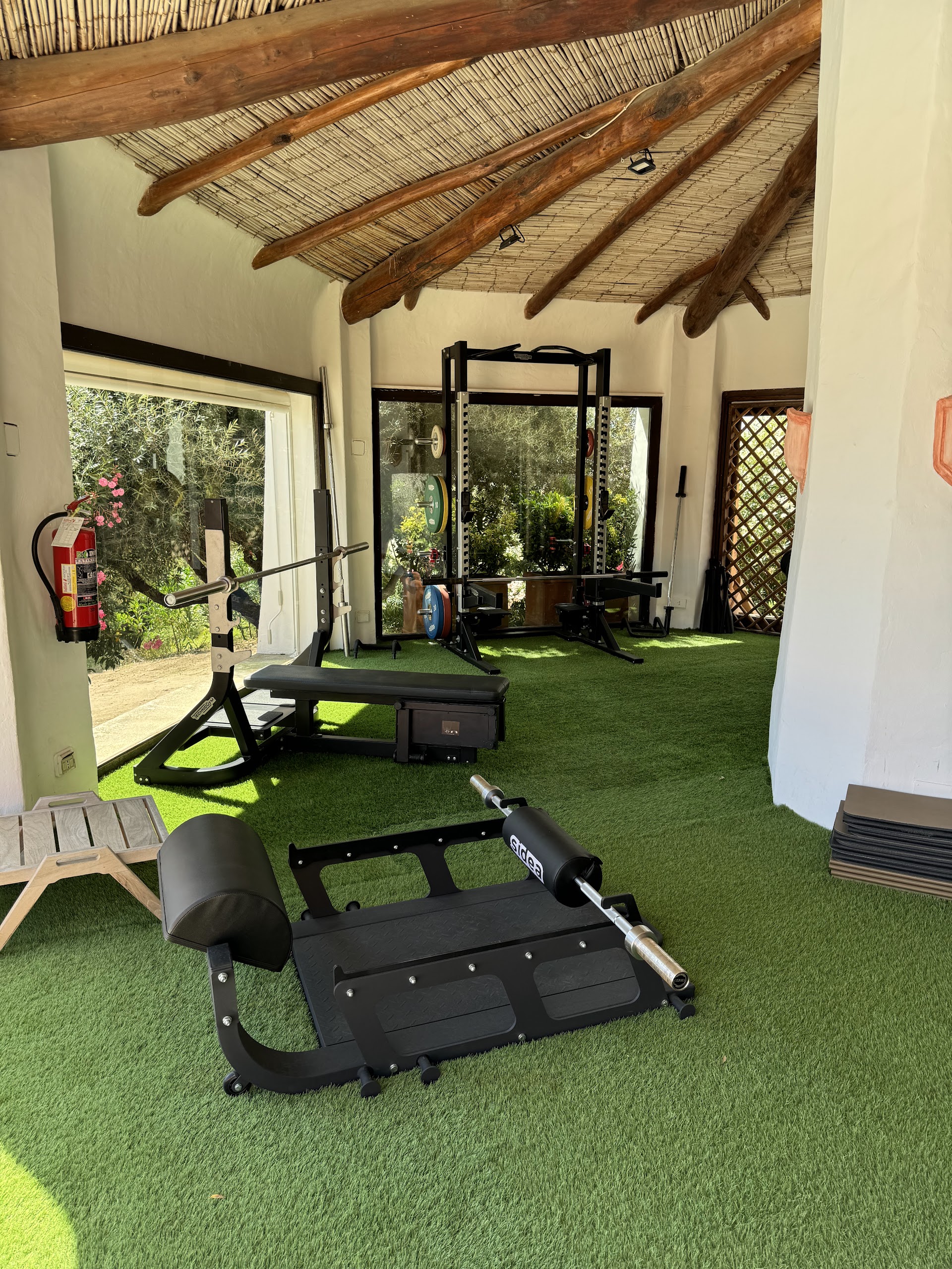 LSN GYMNASIA FITNESS AND PERSONAL TRAINING STUDIO