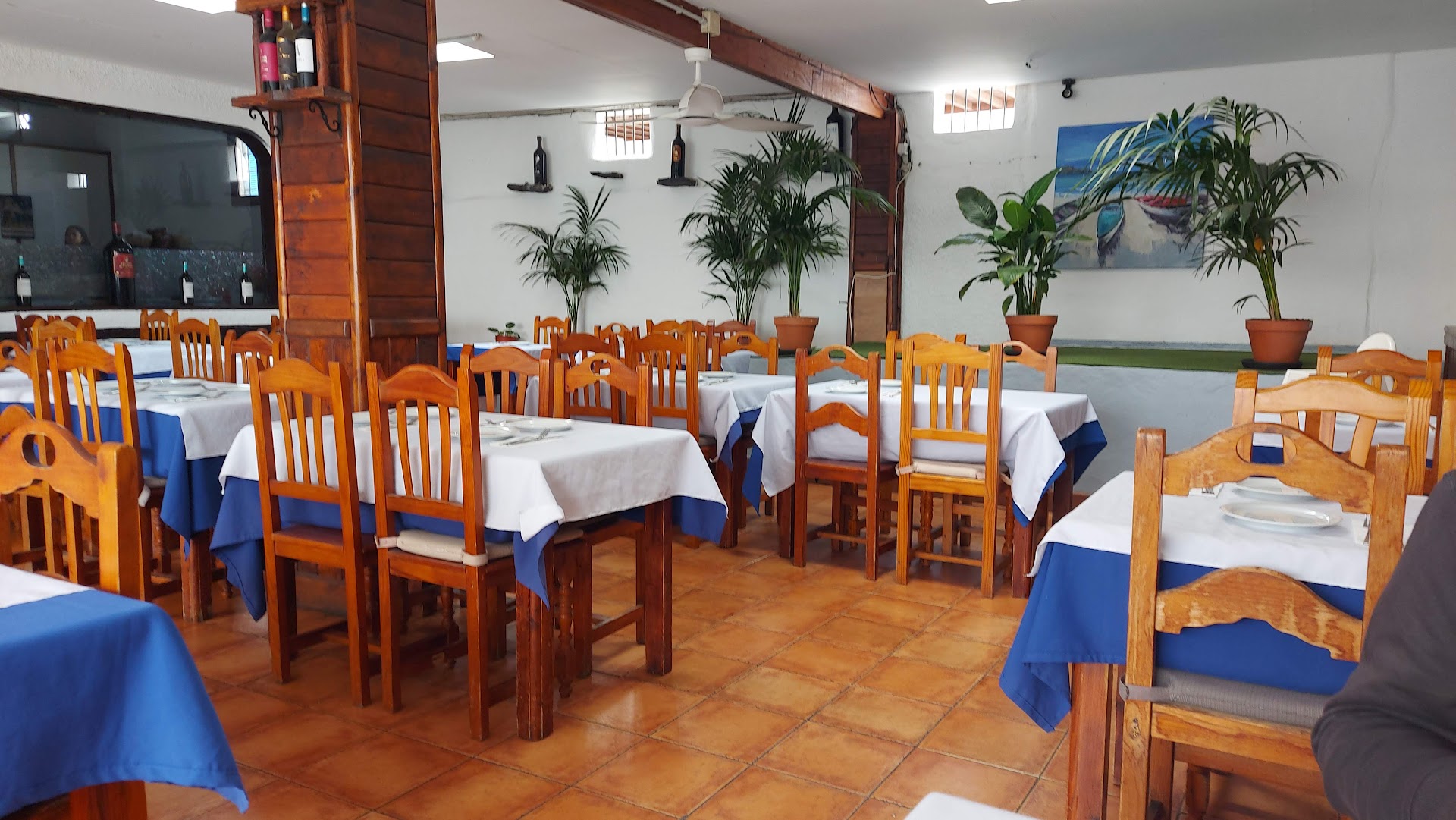 Bar Palenke