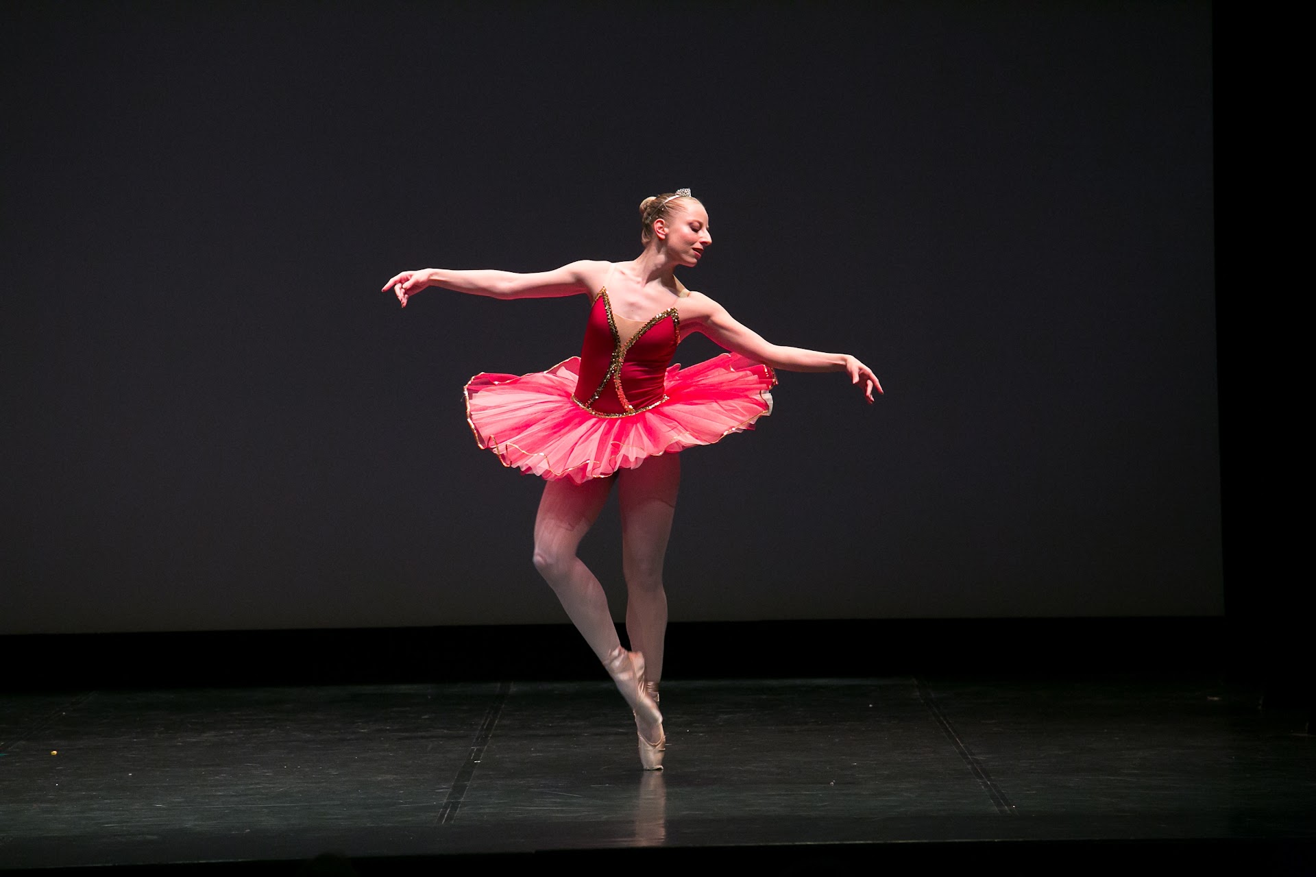 Artedanza SAS di Maria Anca Suciu