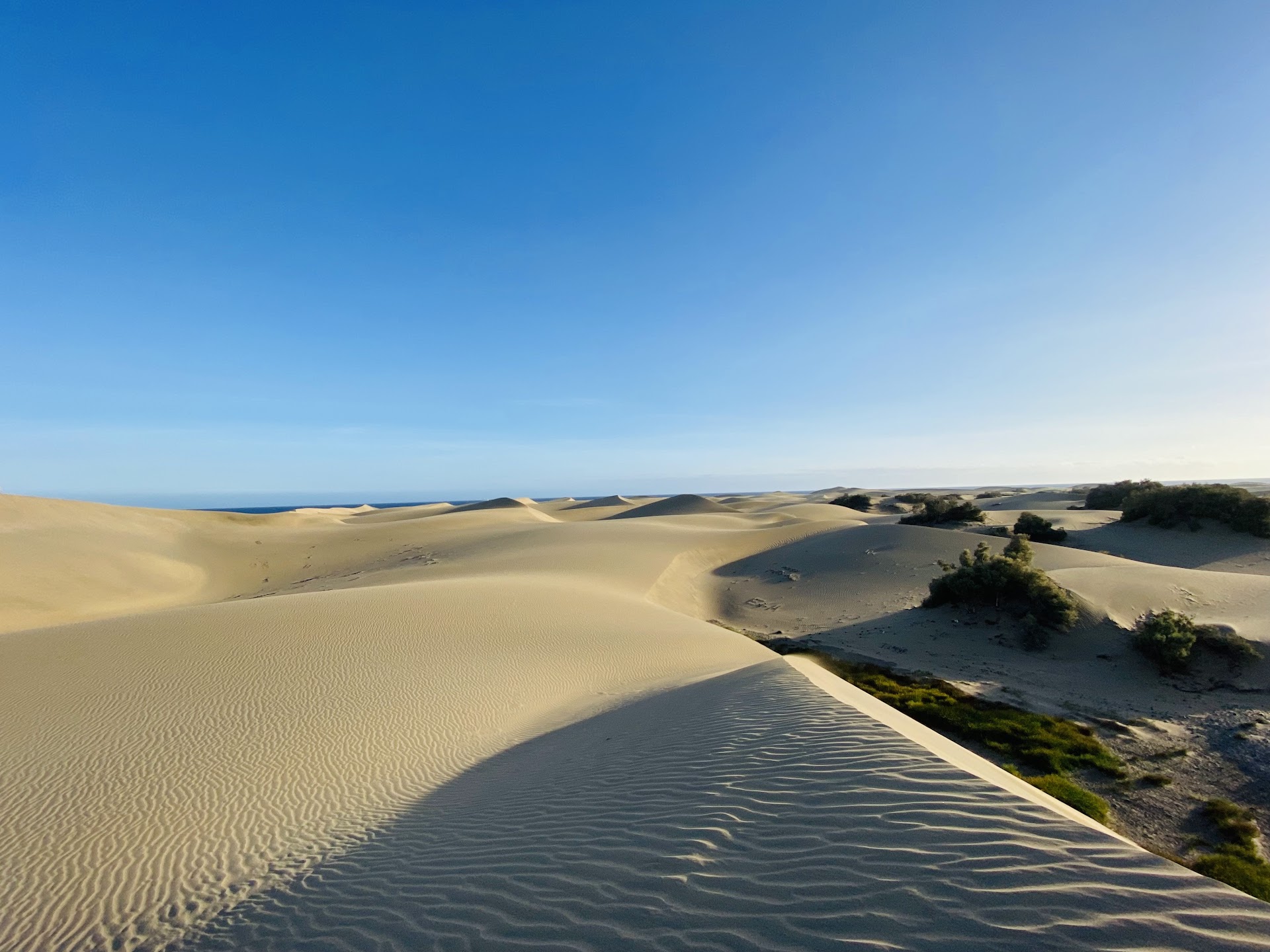 Dunas de Maspalomas