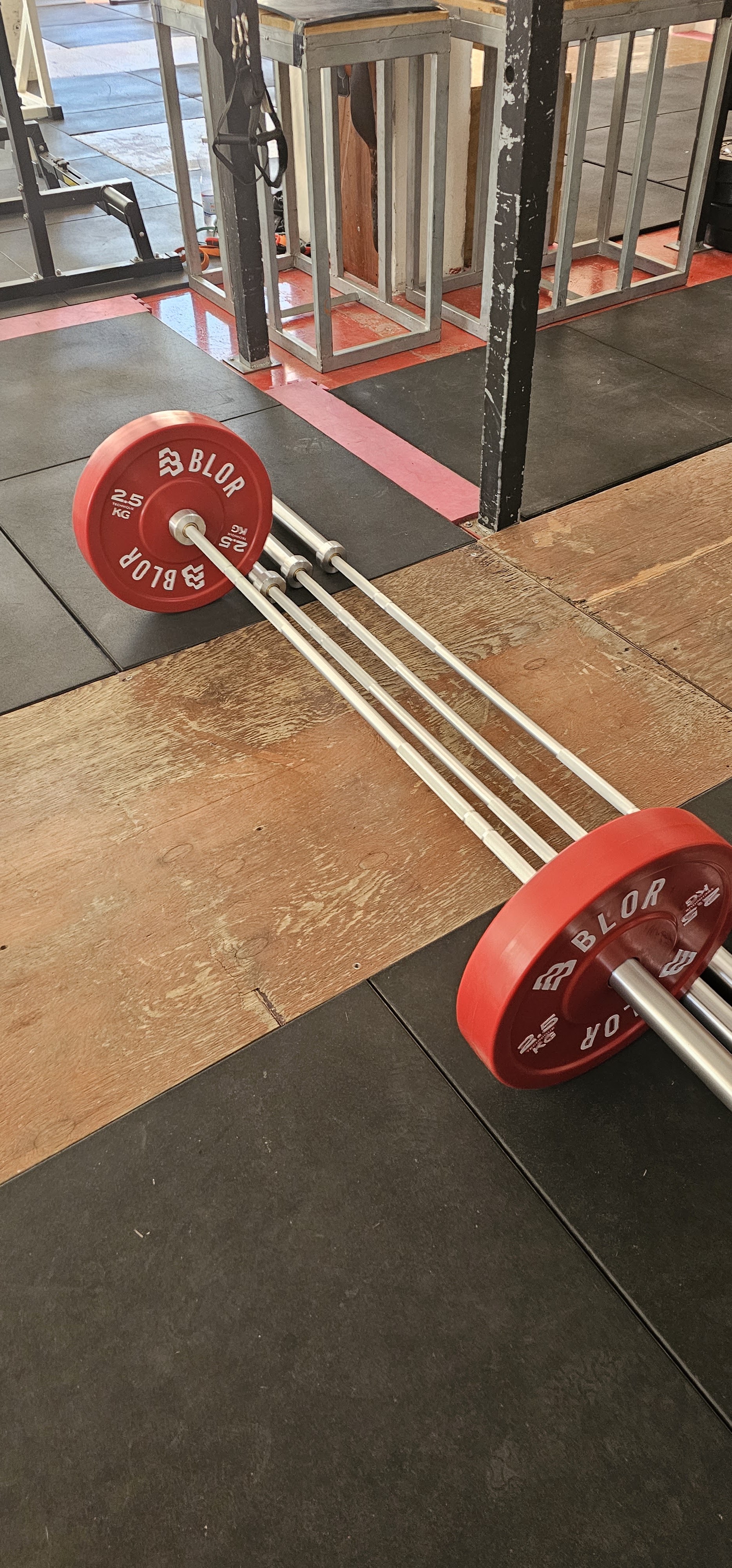 Alfio GYM