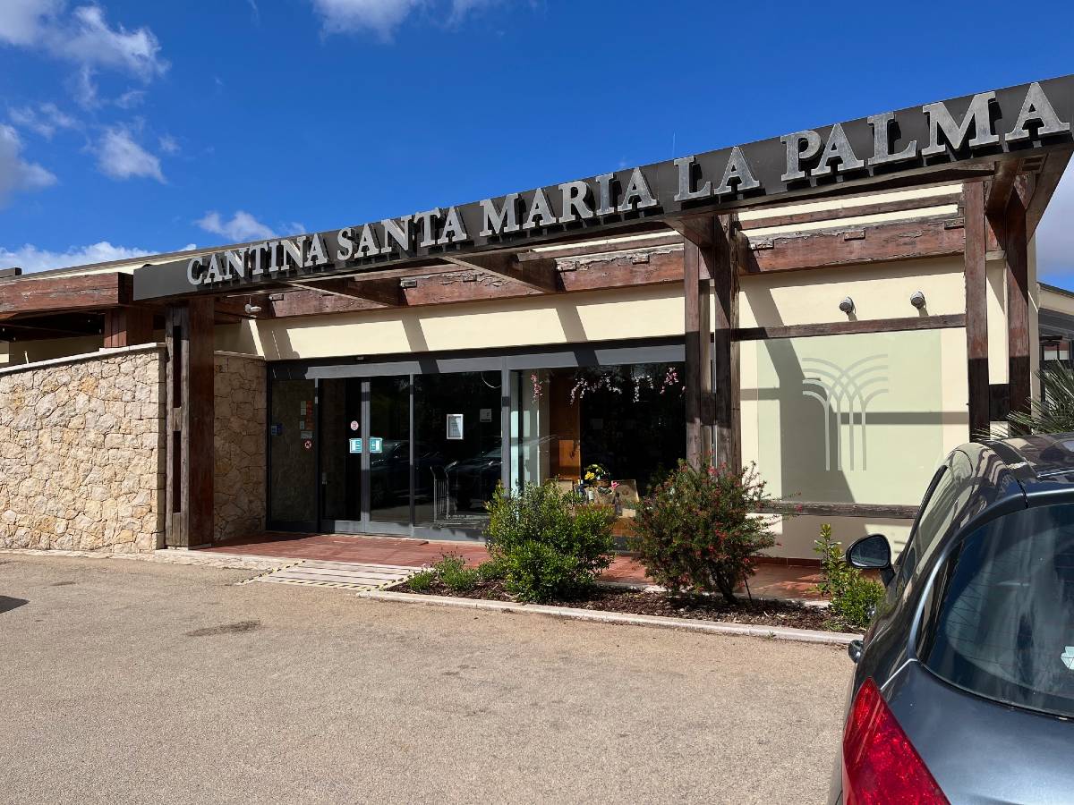Cantina Santa Maria La Palma