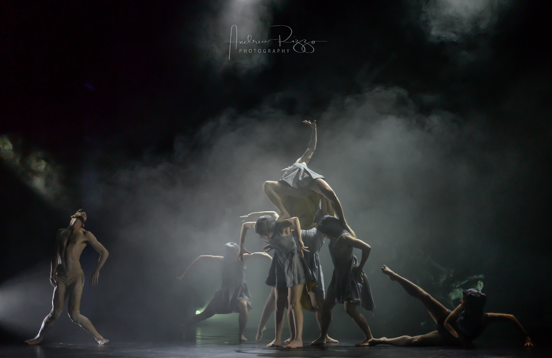 Moveo Dance Company