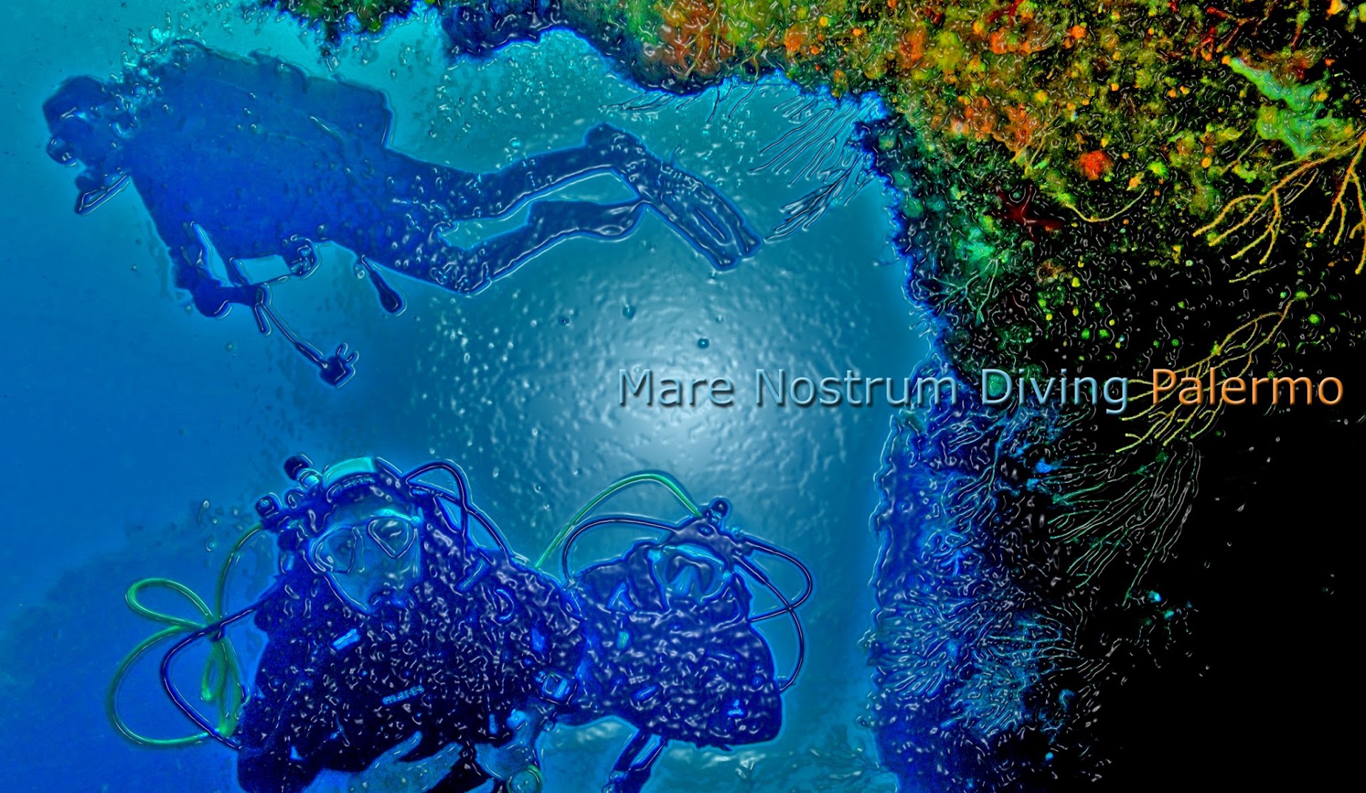 Mare Nostrum Diving School
