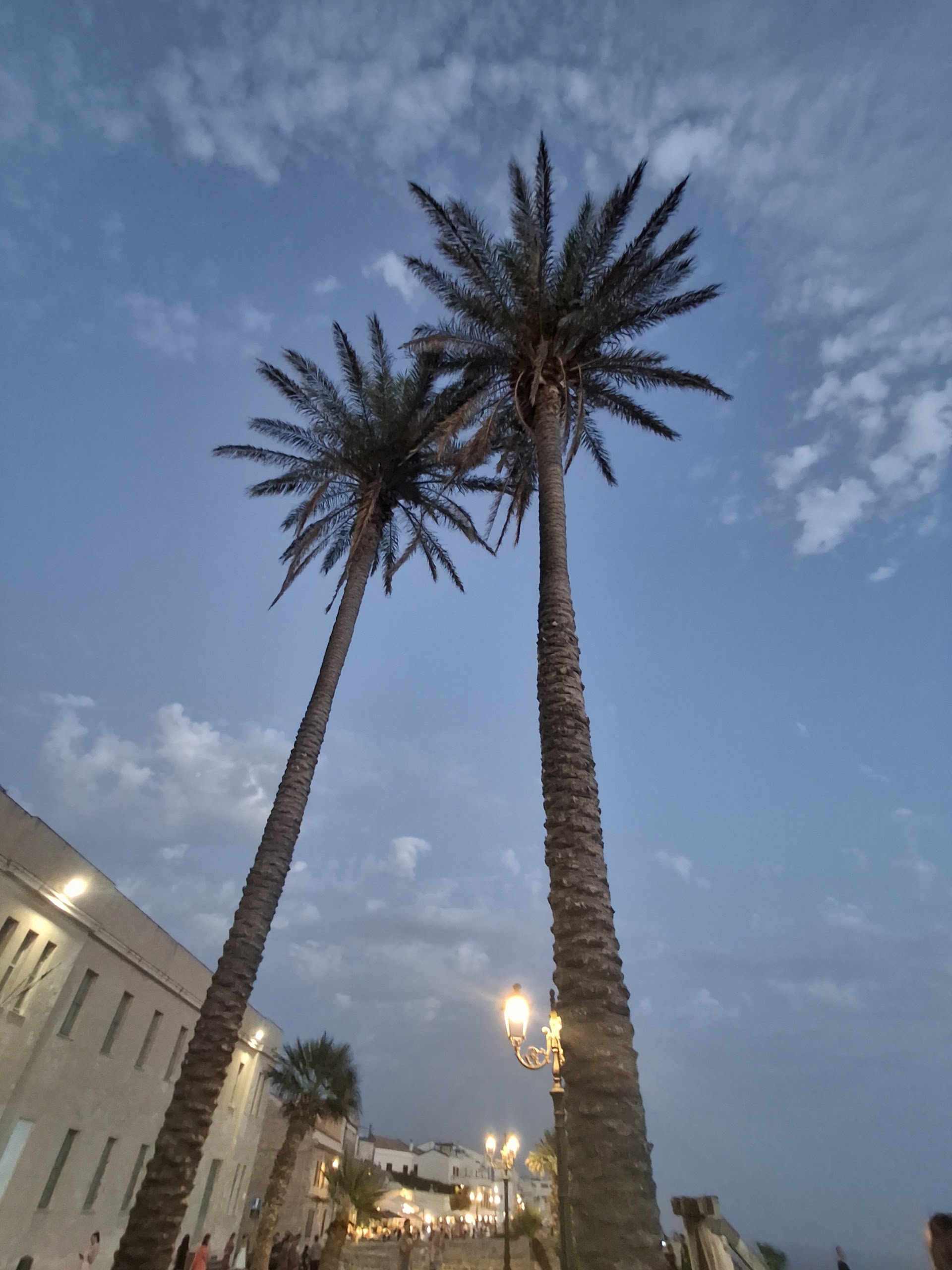 Porto di Alghero - Marina di Sant'Elmo