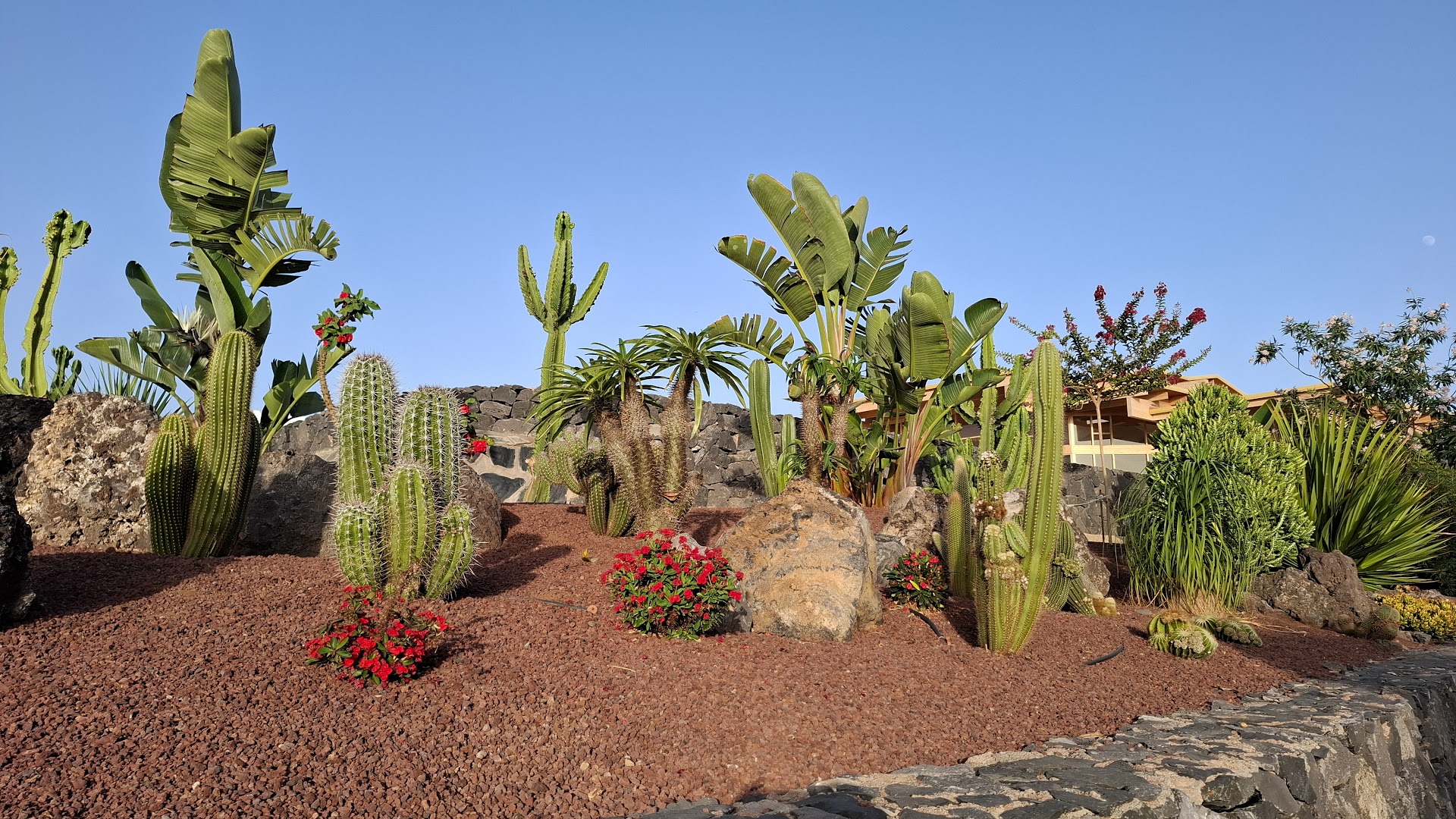 Wellbeing.Retreats.Tenerife