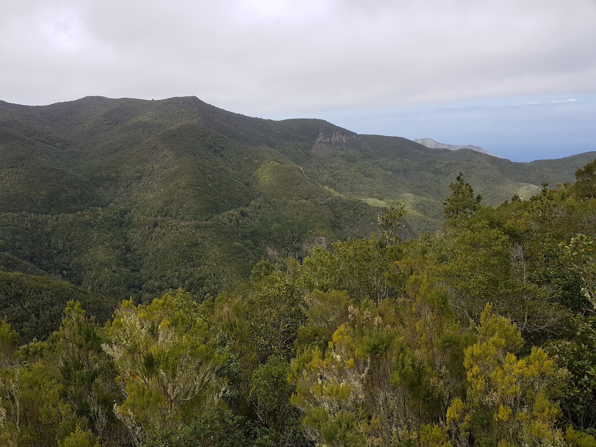 Sendero Monte del Agua