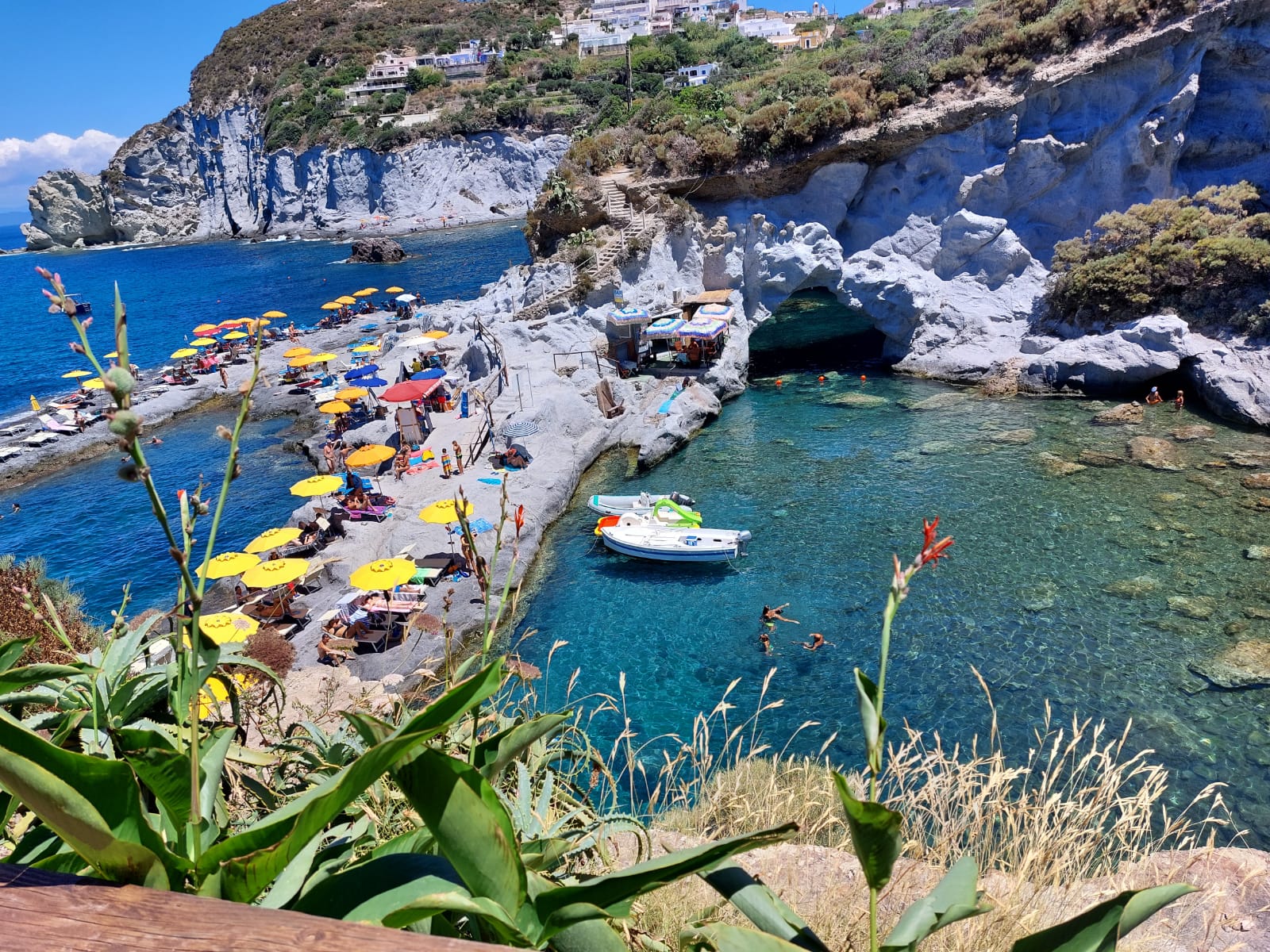 Piscine Naturali