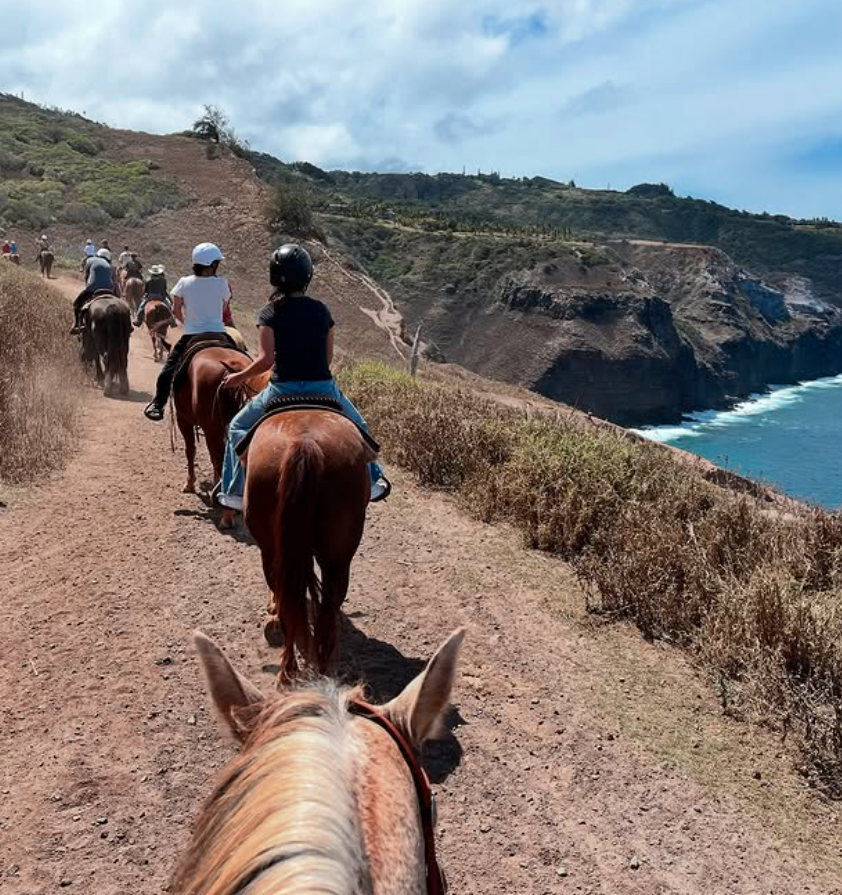 Lani Horse Riding of Maui
