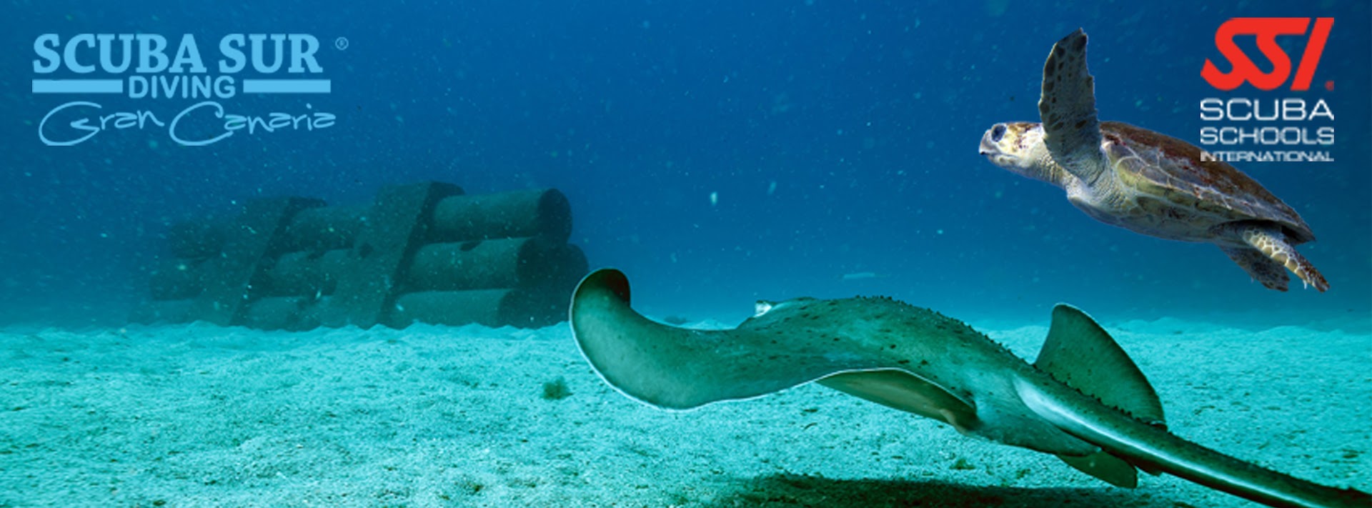 Scuba Sur Diving Gran Canaria