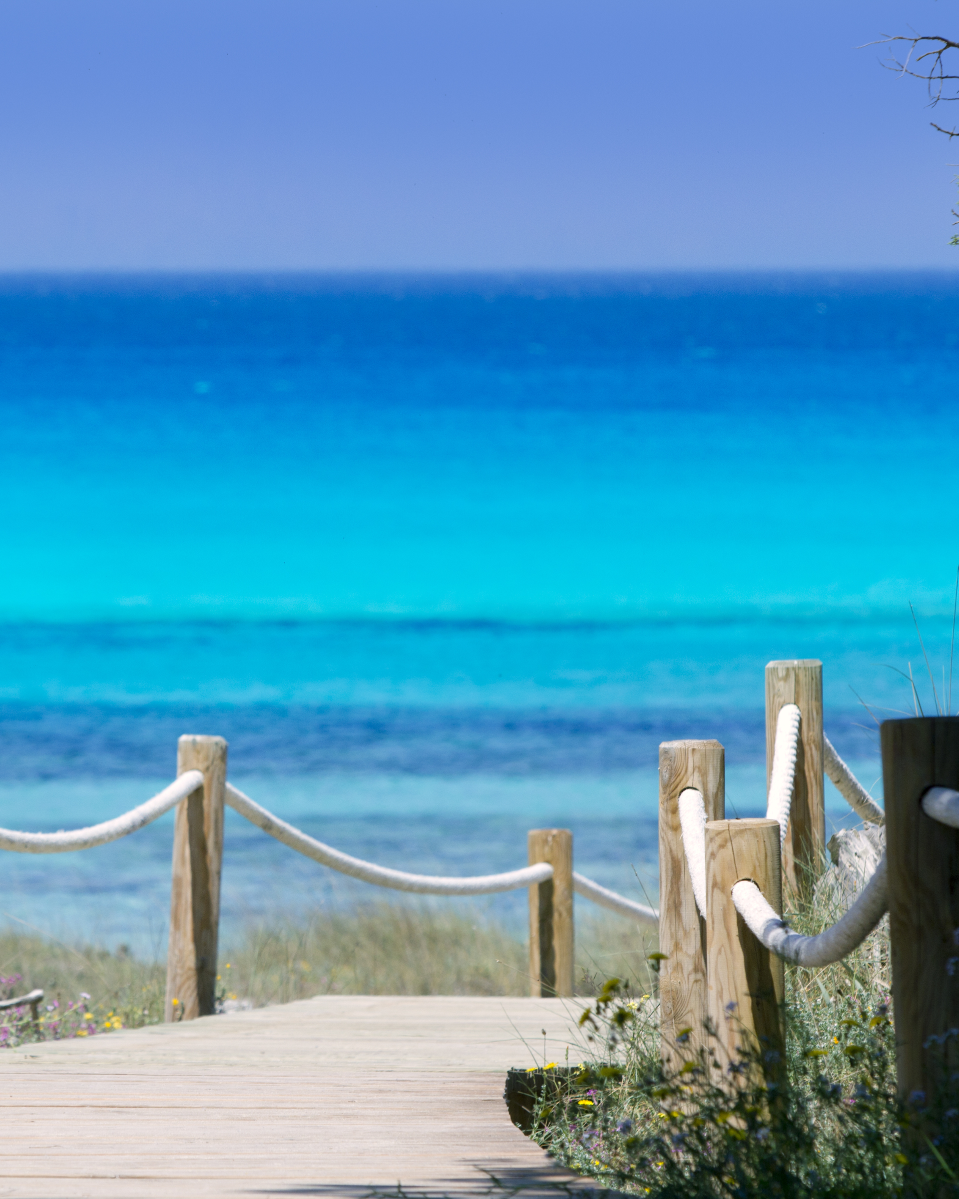 Sea Experience Ibiza - Figueretas.