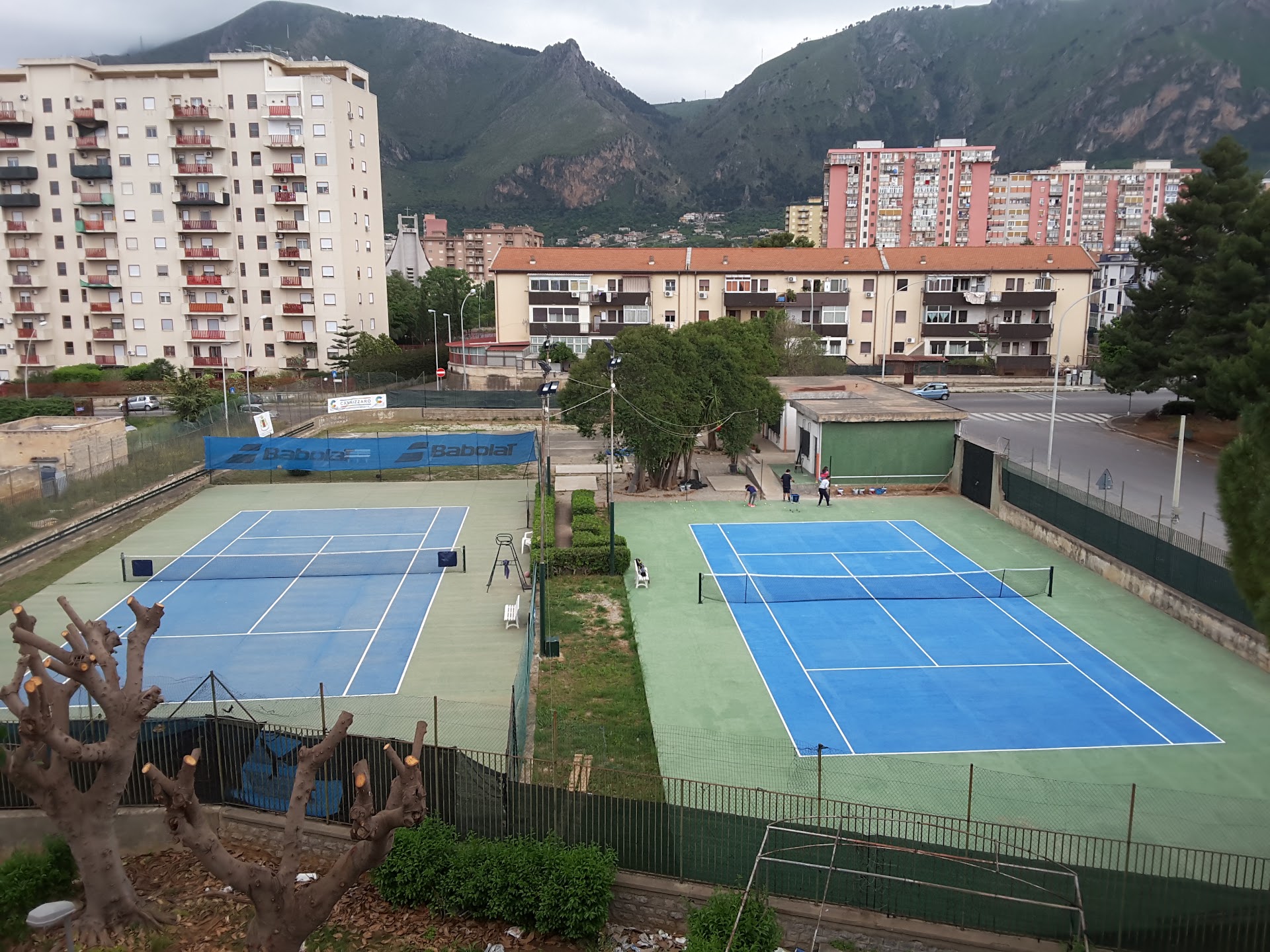 LION PADDLE TENNIS CLUB