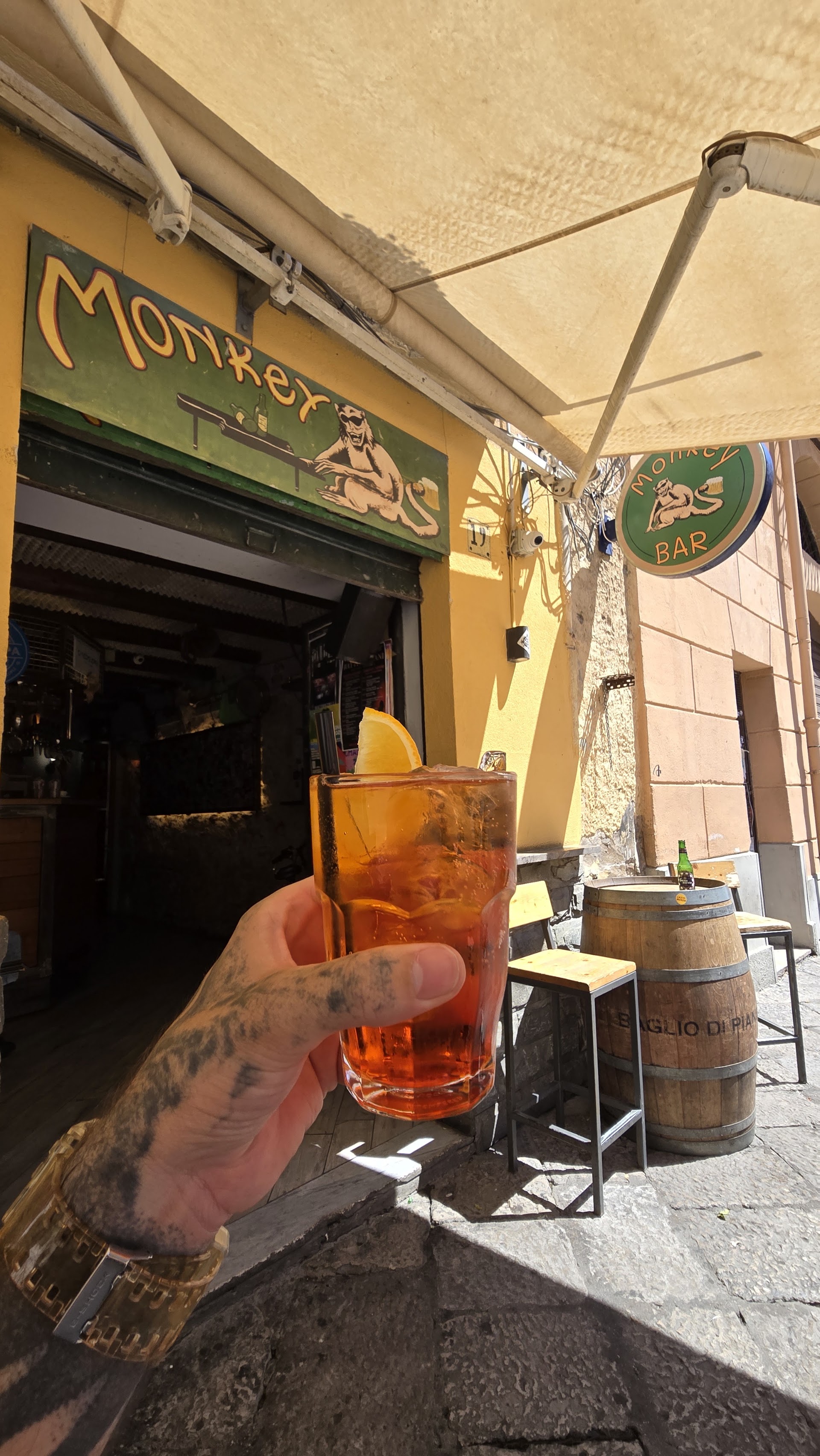 Monkey pub