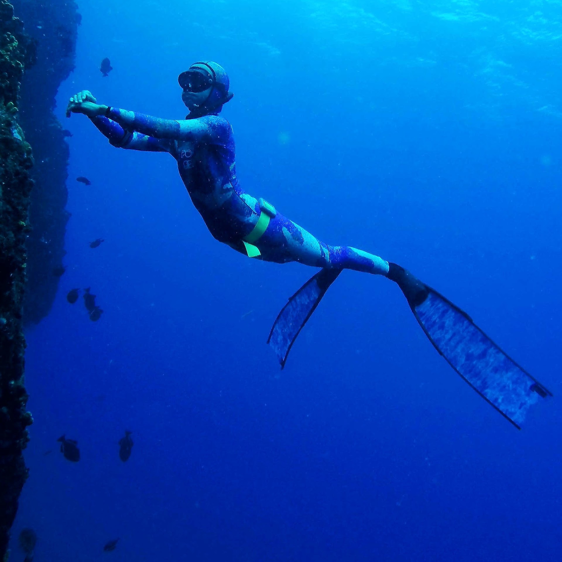 Bonaire Freediving School NV