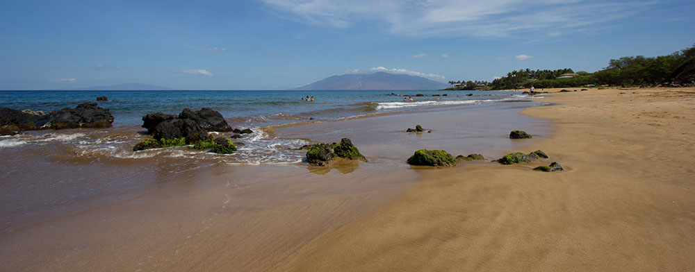 Maui Zoom Photography