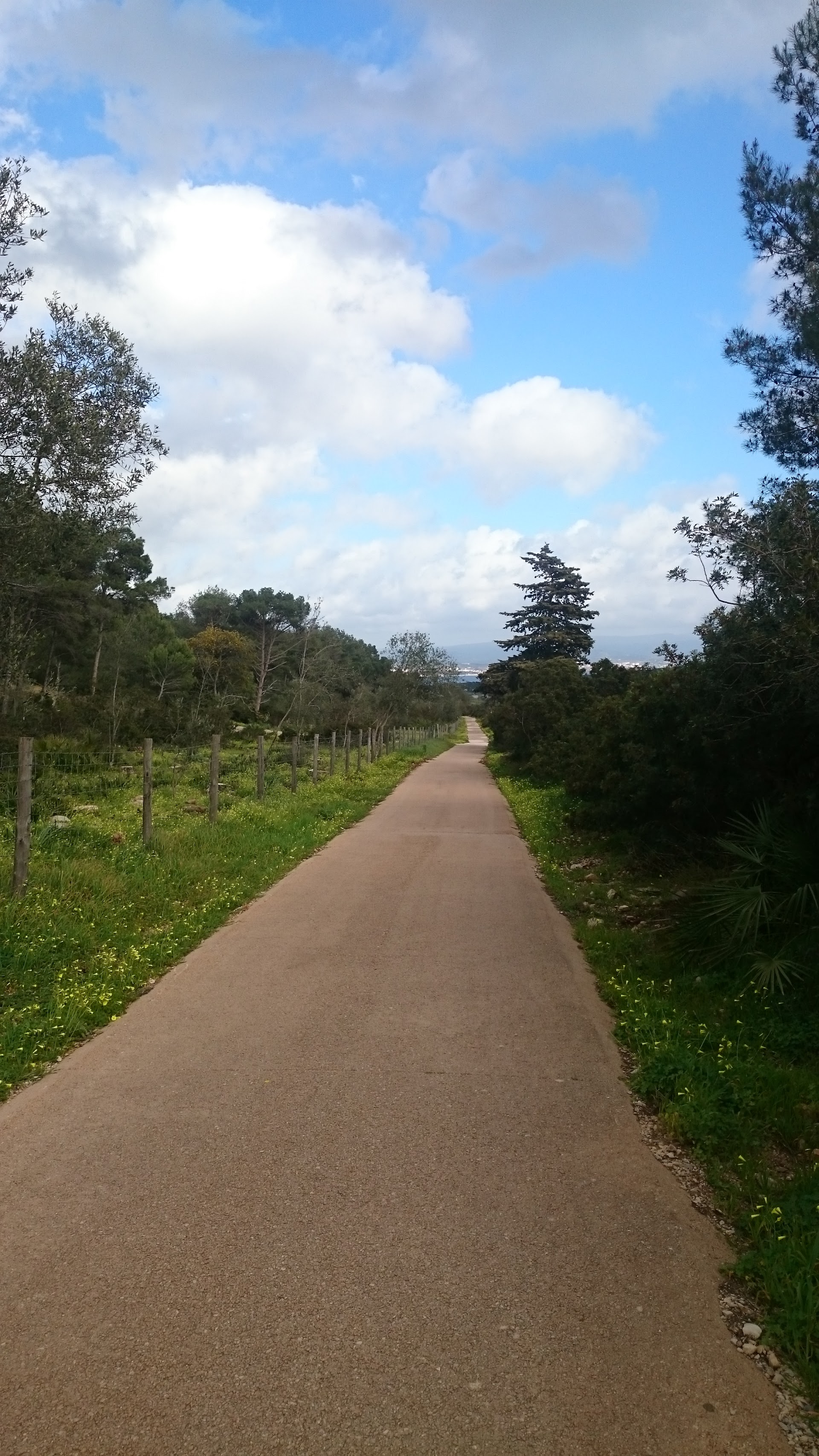 Pista Ciclabile