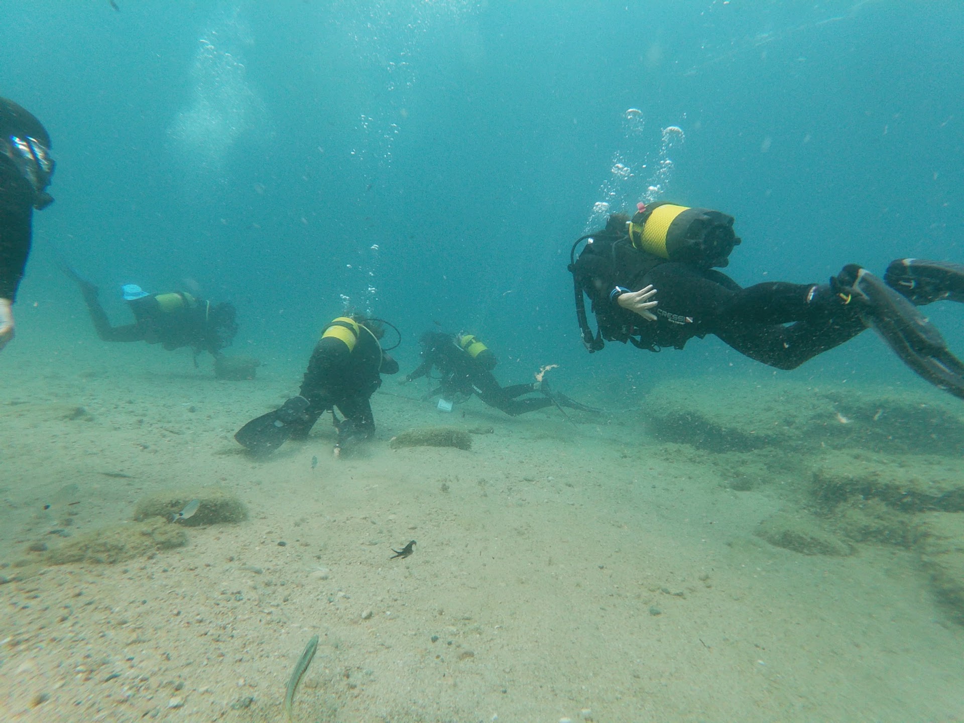 Barcelona Diving