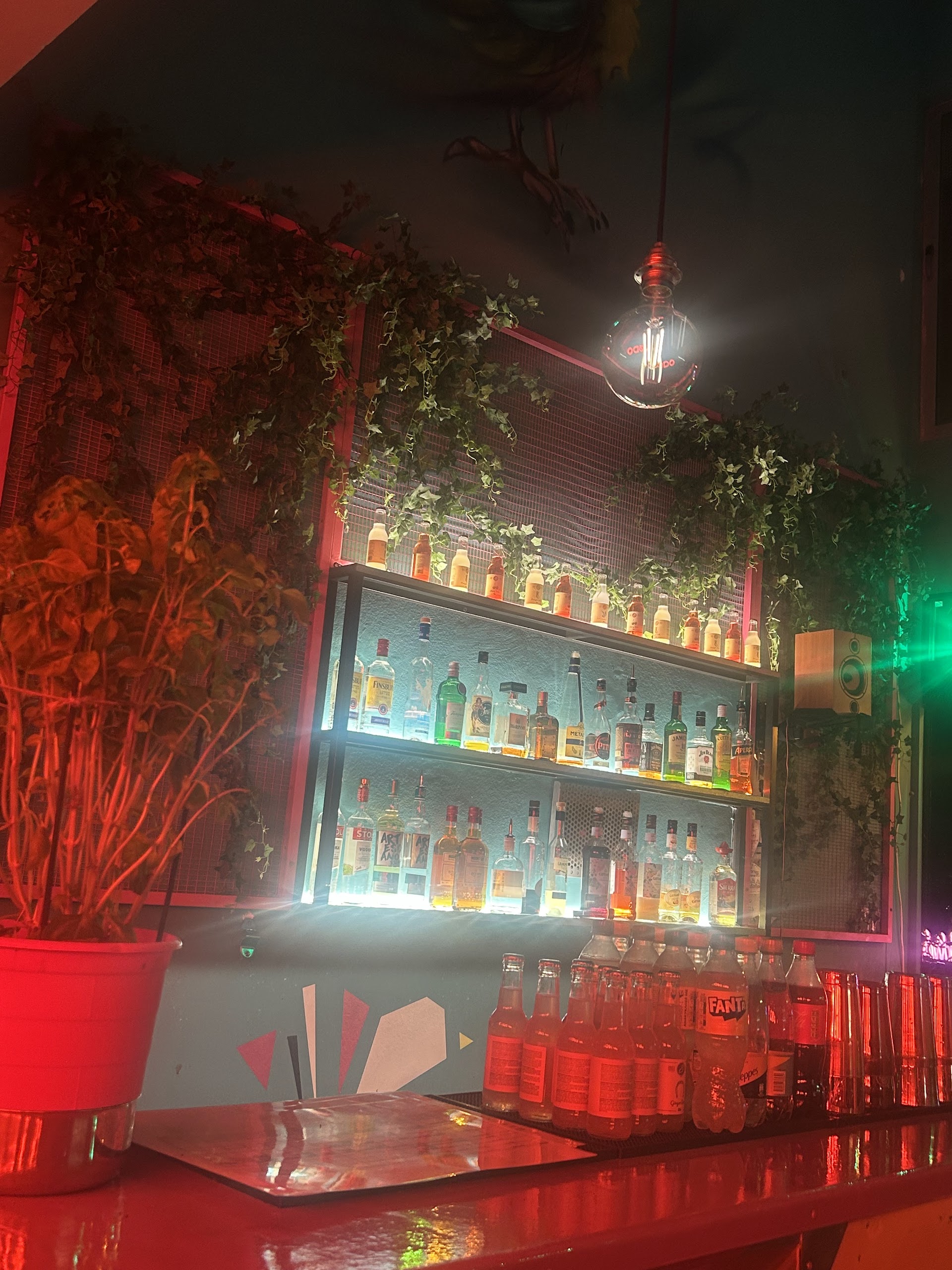The Dodo Cocktail Bar