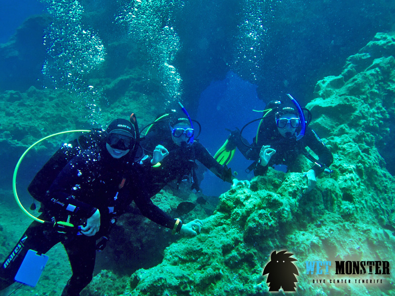 WET MONSTER Dive Center - Polskie Centrum Nurkowe Teneryfa